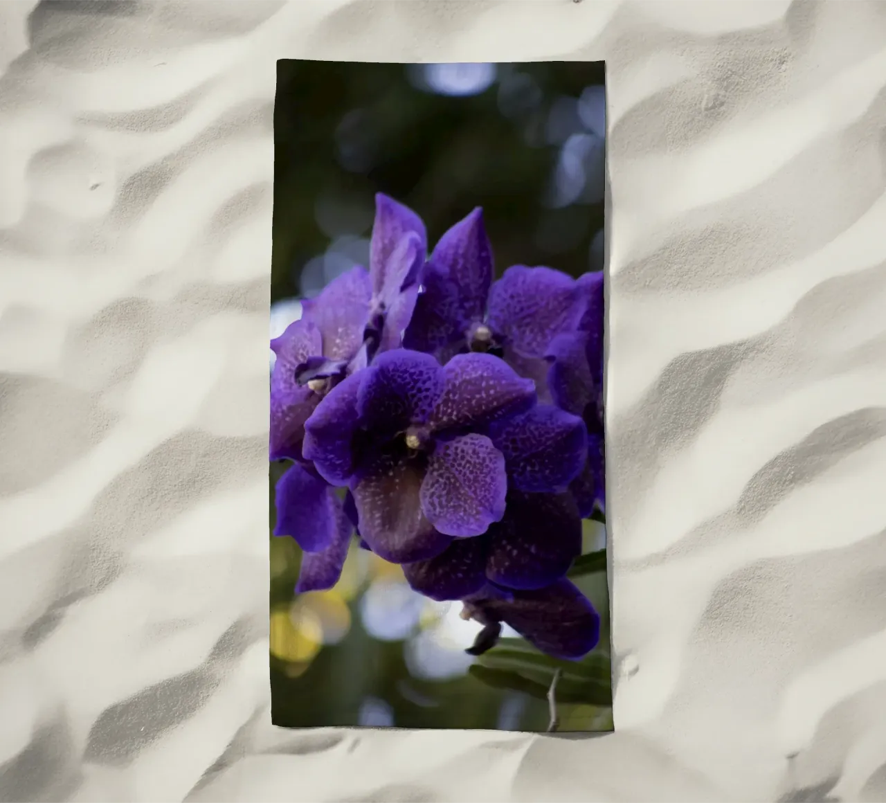 Orchidea viola telo mare da Léa Lefebvre Photography