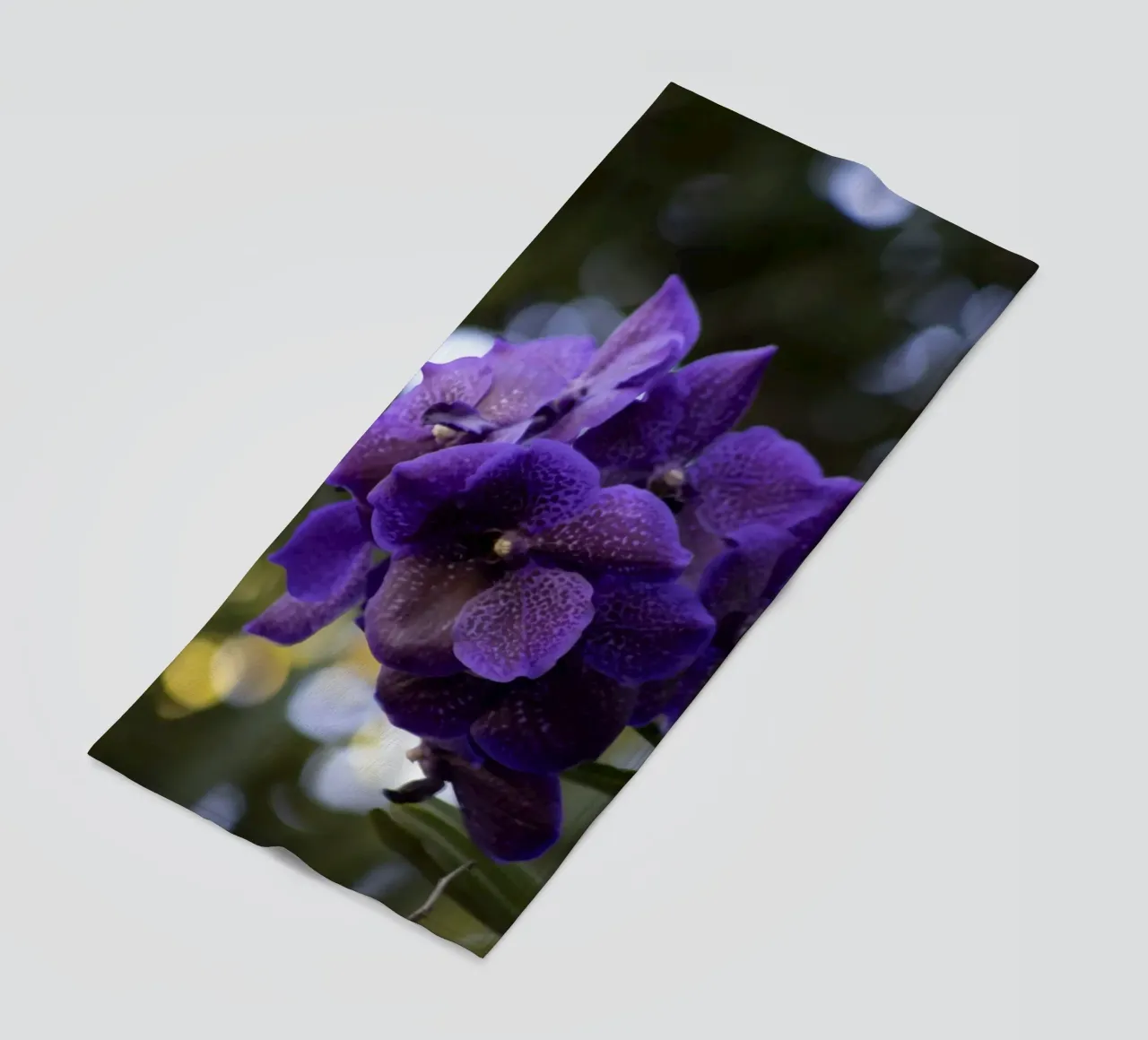 Orchidea viola telo mare da Léa Lefebvre Photography