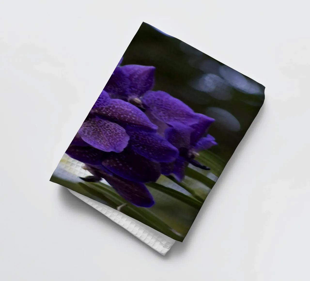 Orchidea viola canovaccio da cucina da Léa Lefebvre Photography