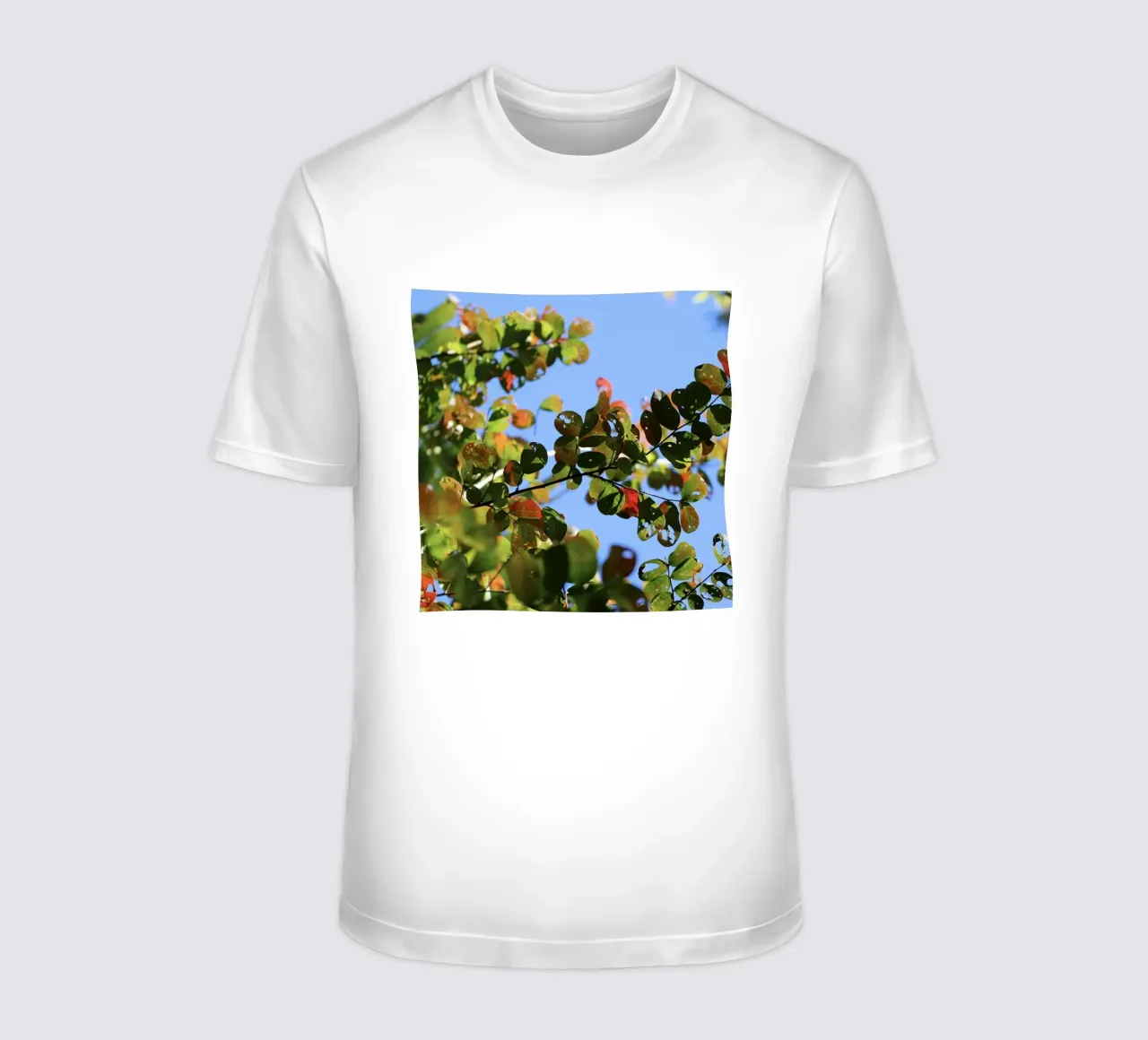 Foglie colorate 2 t-shirt da Léa Lefebvre Photography