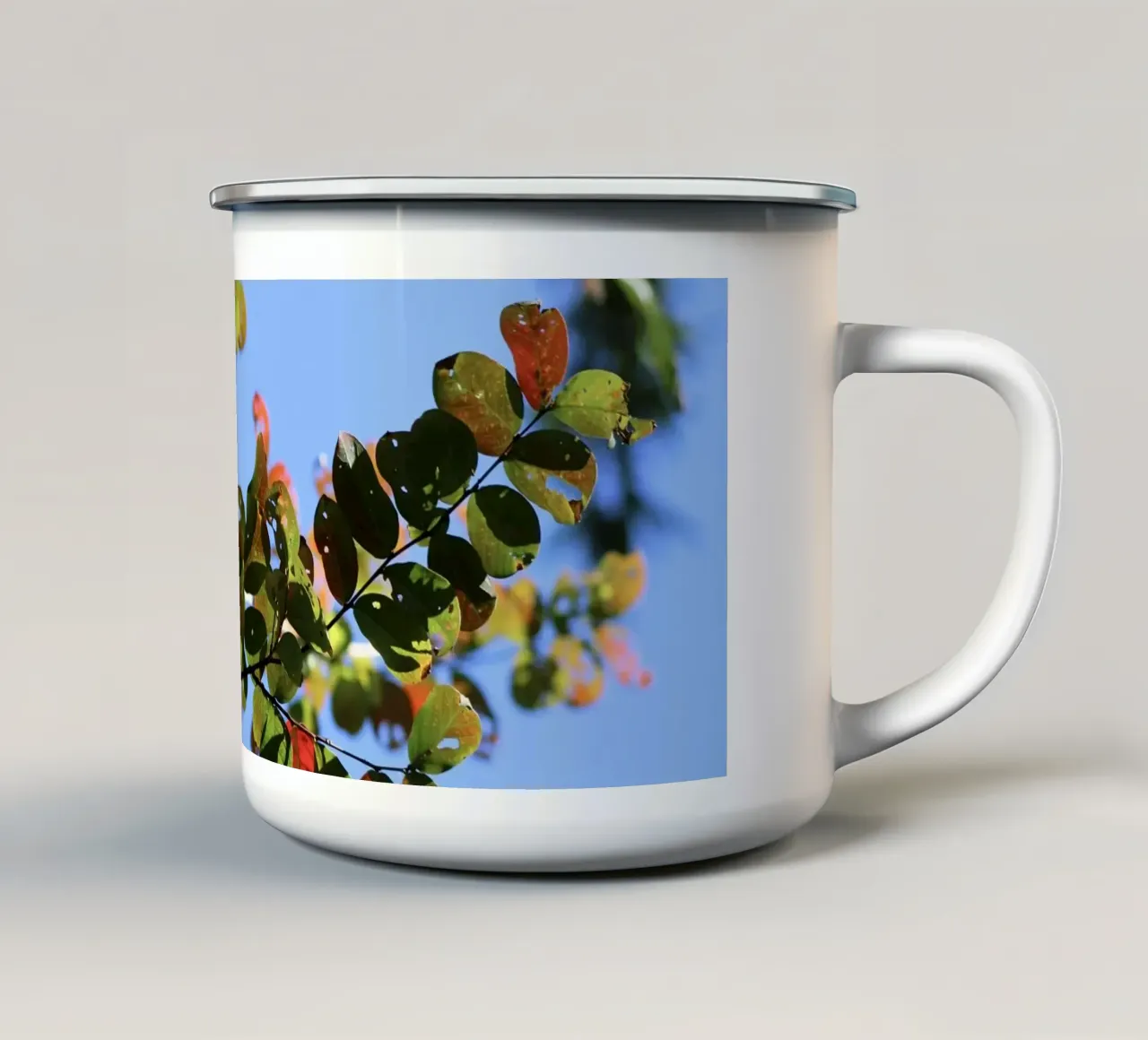 Foglie colorate 2 tazza in smalto da Léa Lefebvre Photography