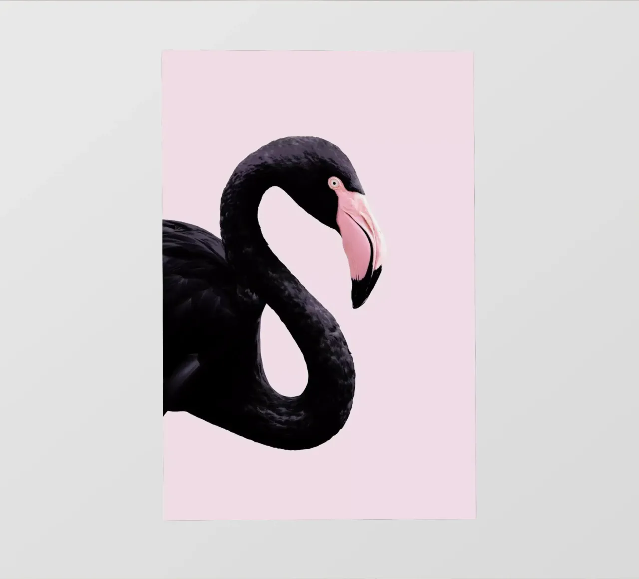Black Flamingo pvc cover by Paul Fuentes Design