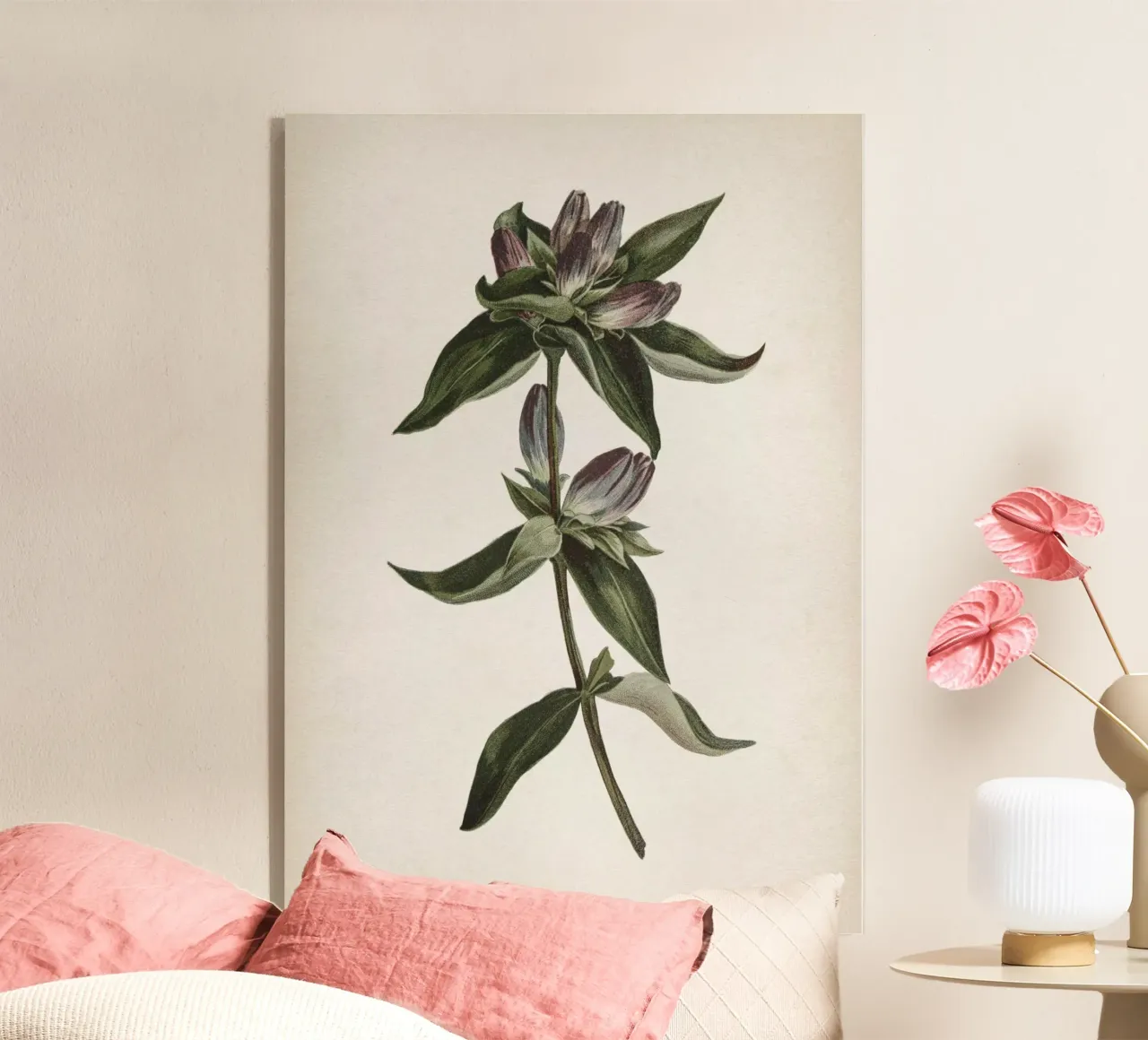 Vintage Curtis 1 Gentian plexiglass da Vintage Print Collection