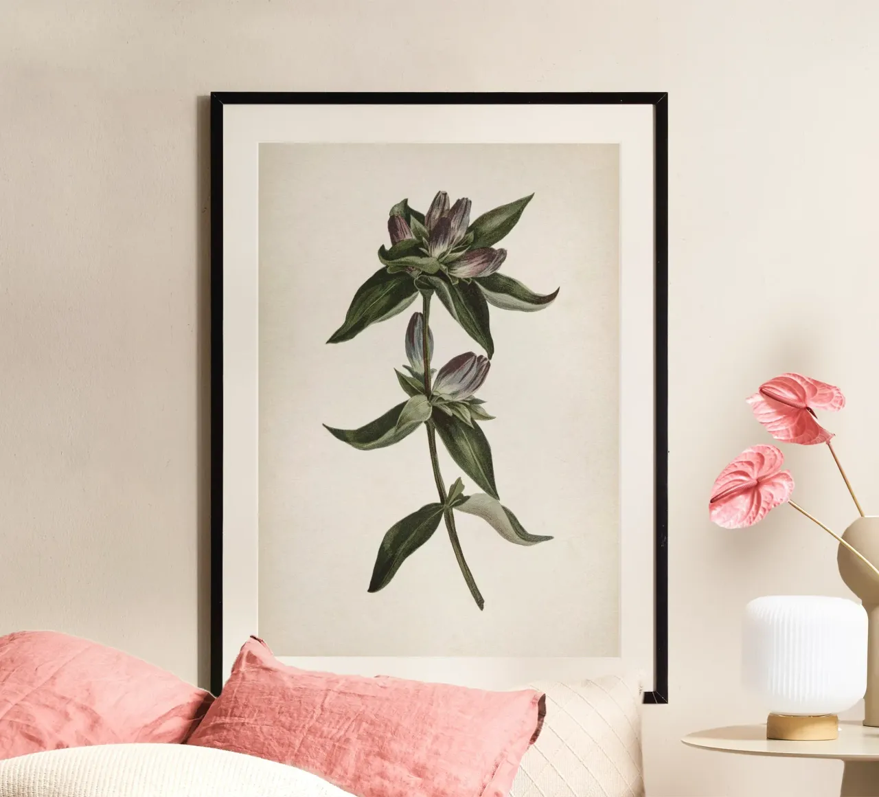 Vintage Curtis 1 Gentian hahnemühle by Vintage Print Collection