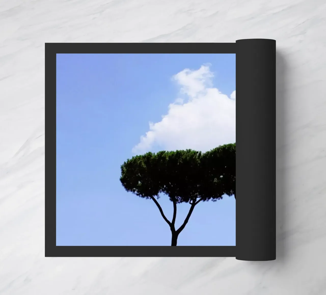 Brothers zerbino da Rupert Höller