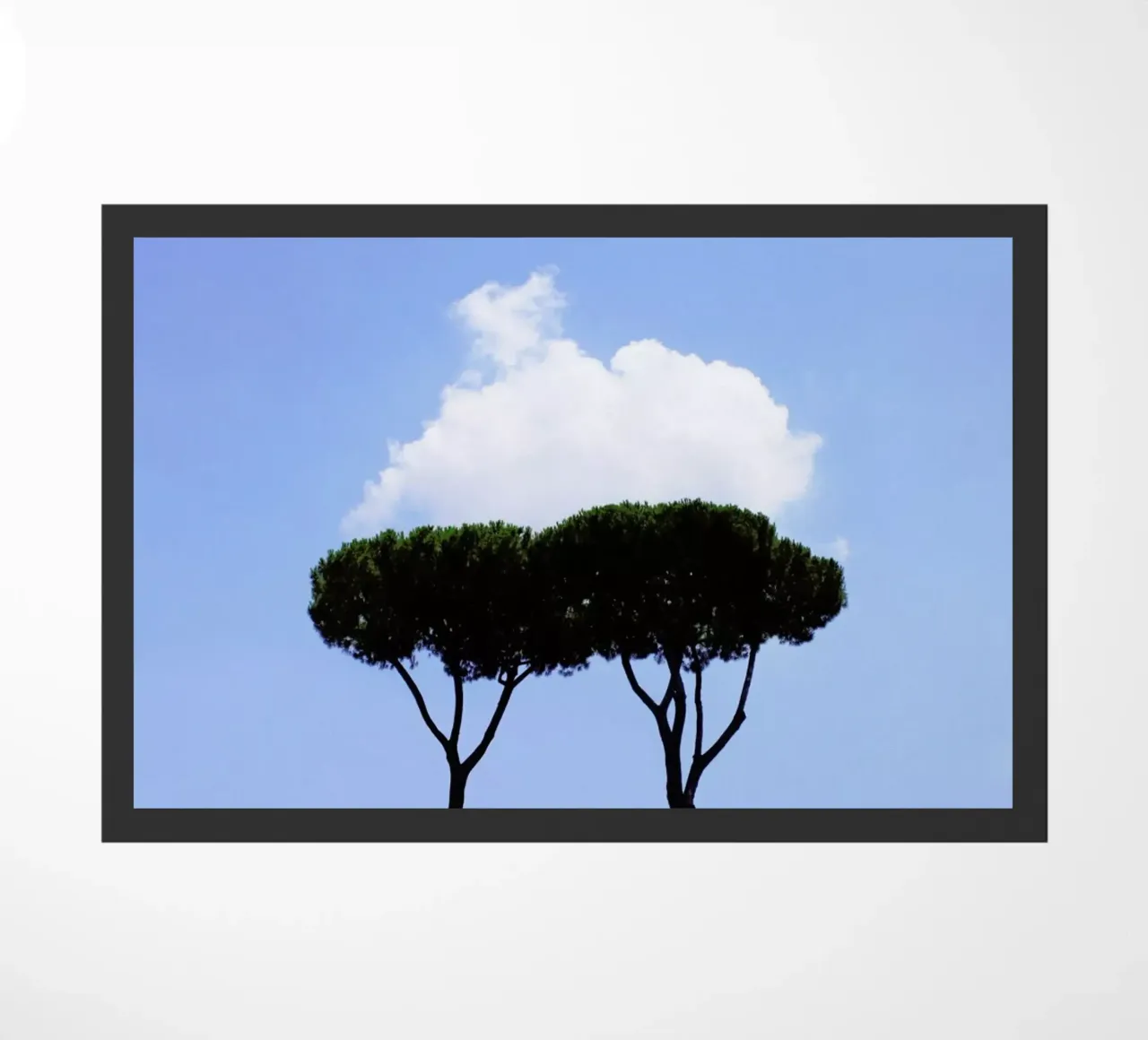 Brothers zerbino da Rupert Höller