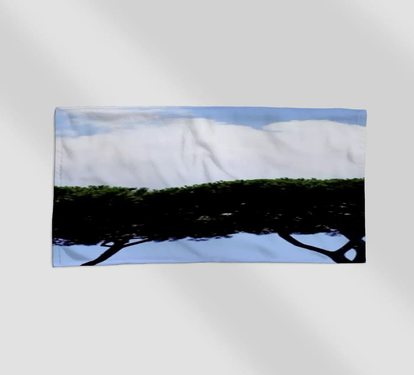 Brothers telo mare da Rupert Höller