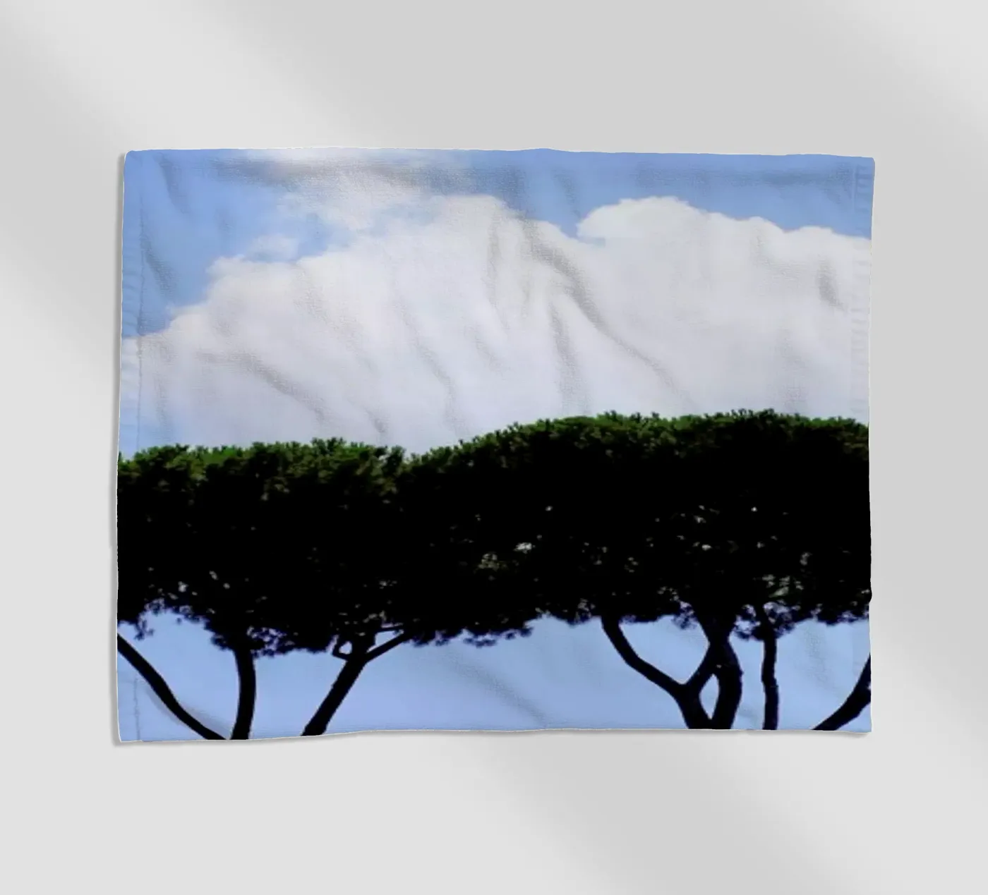 Brothers telo mare da Rupert Höller