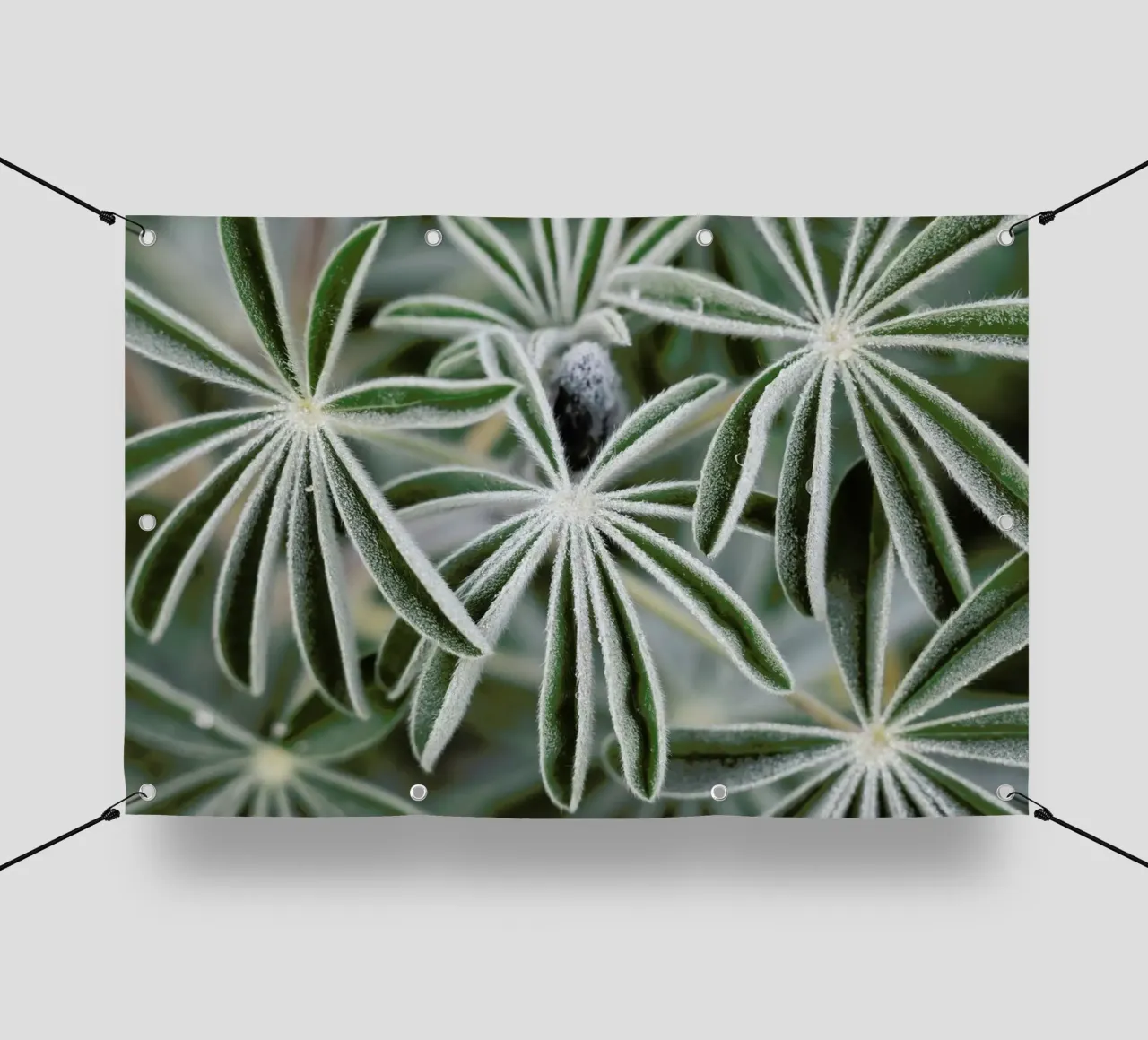 Blue Lupine #7 telo in pvc da Tal Paz-Fridman