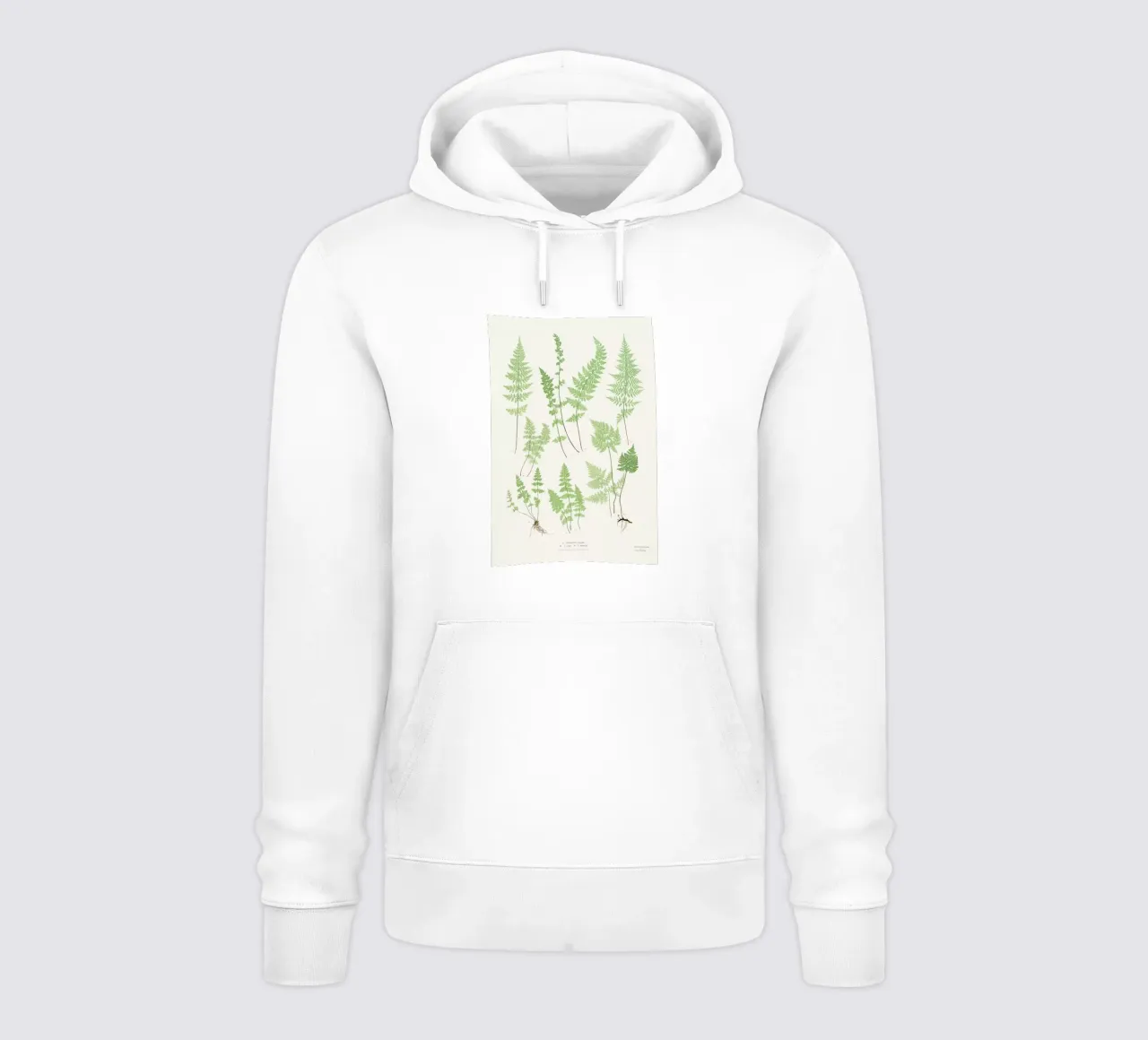 Ferns felpa con cappuccio da Astër