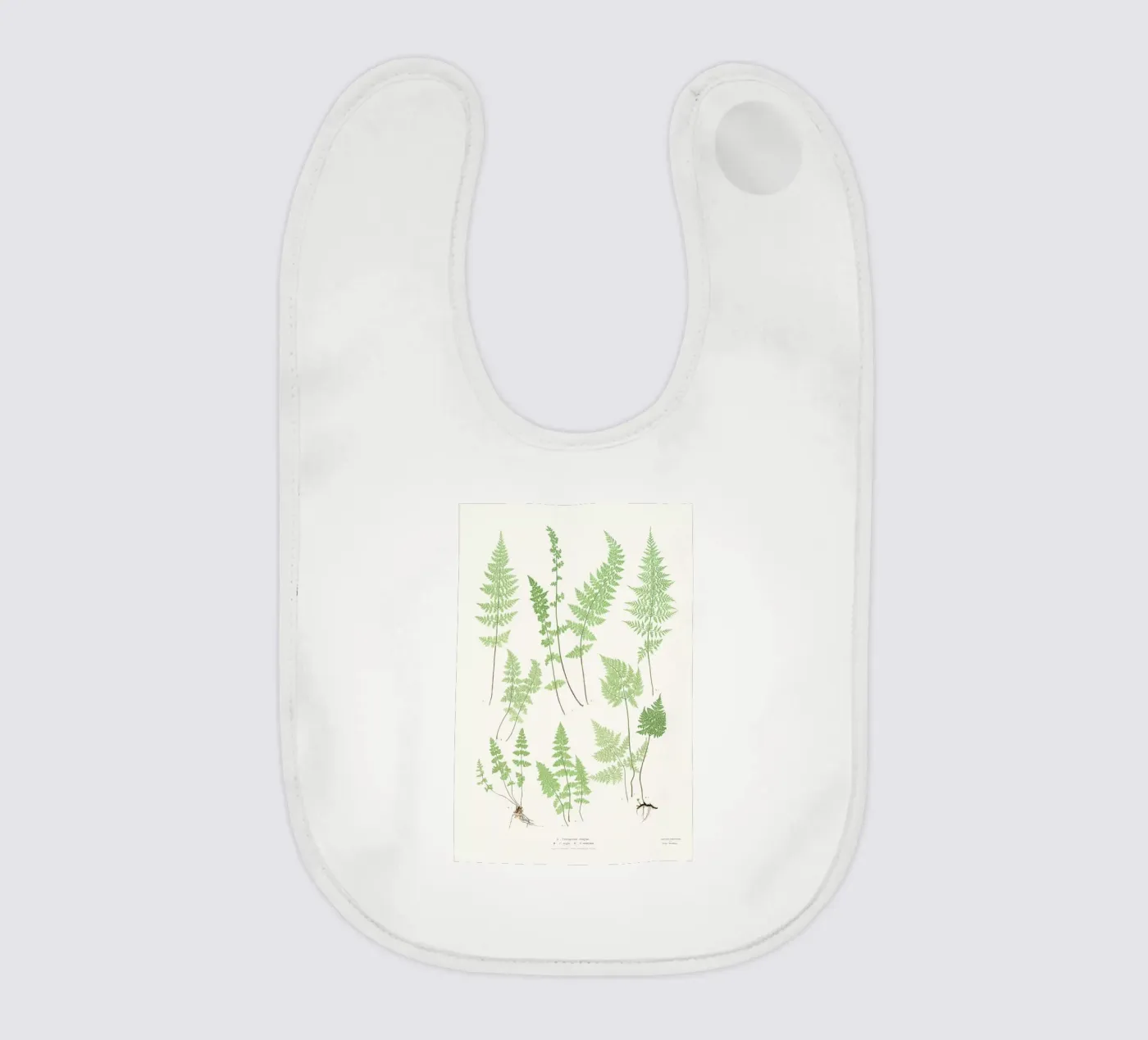 Ferns Babylätzchen von Astër