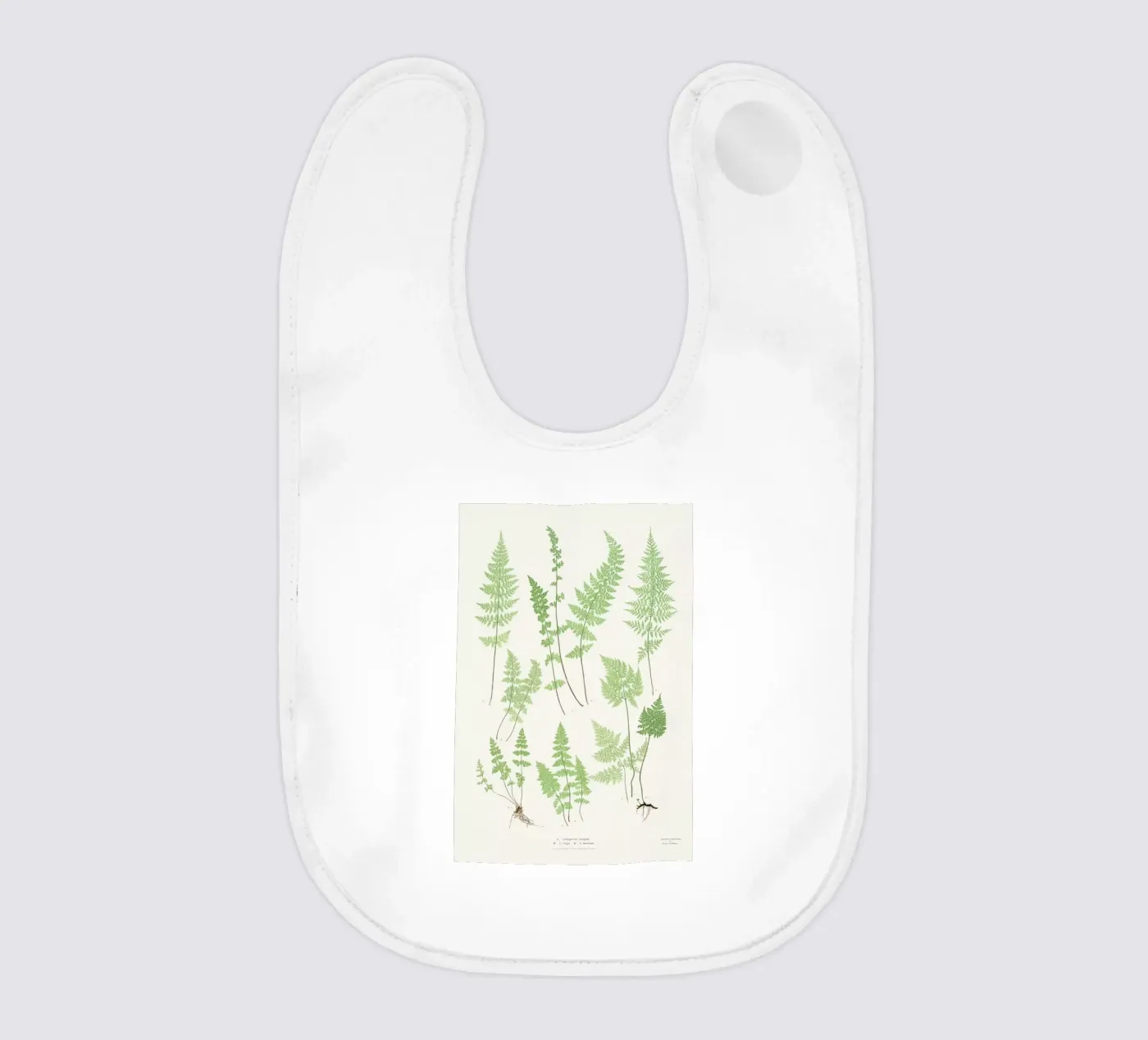 Ferns Babylätzchen von Astër