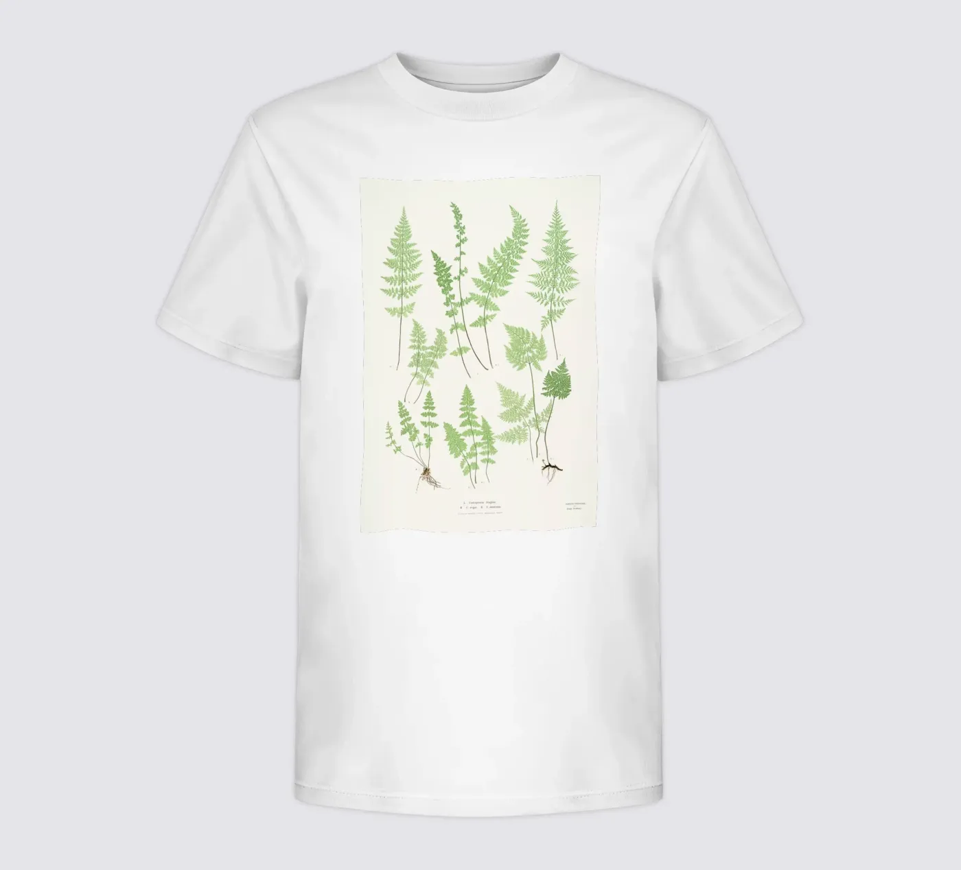 Ferns t-shirt bambini da Astër
