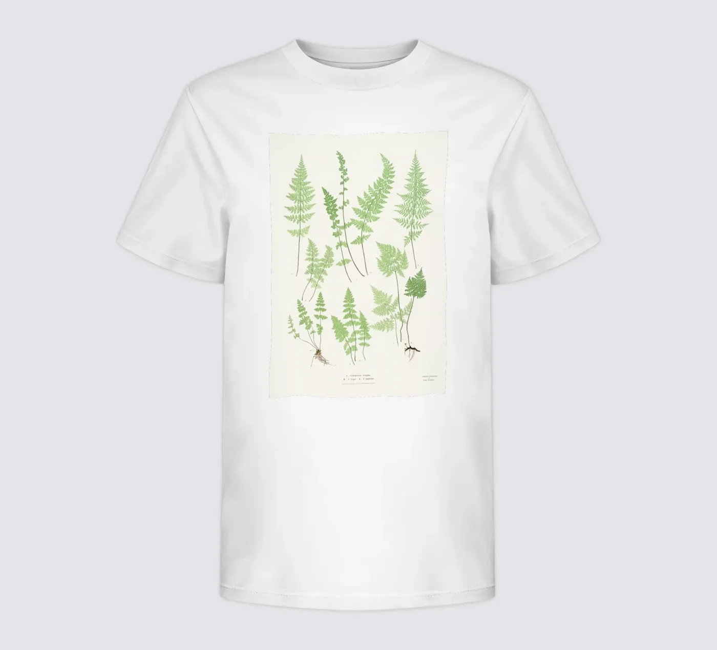 Ferns kinder t-shirt van Astër