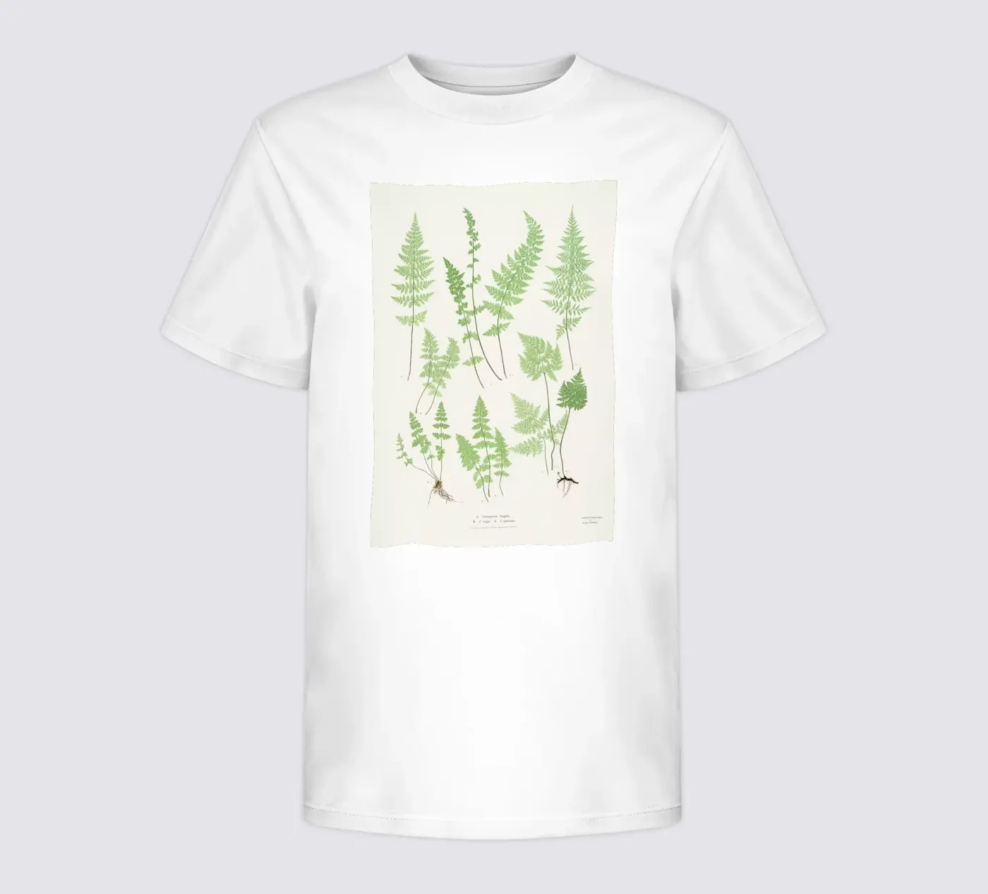 Ferns t-shirt bambini da Astër