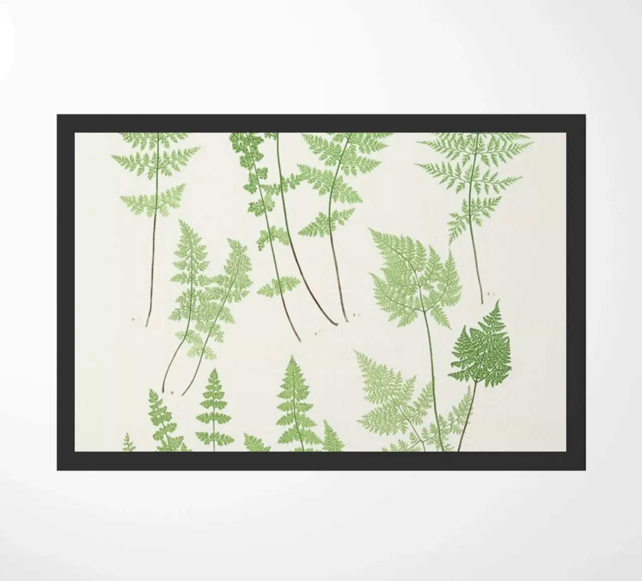 Ferns Fußmatte von Astër