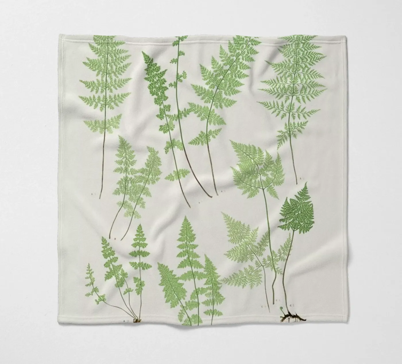 Ferns Fleecedecke von Astër