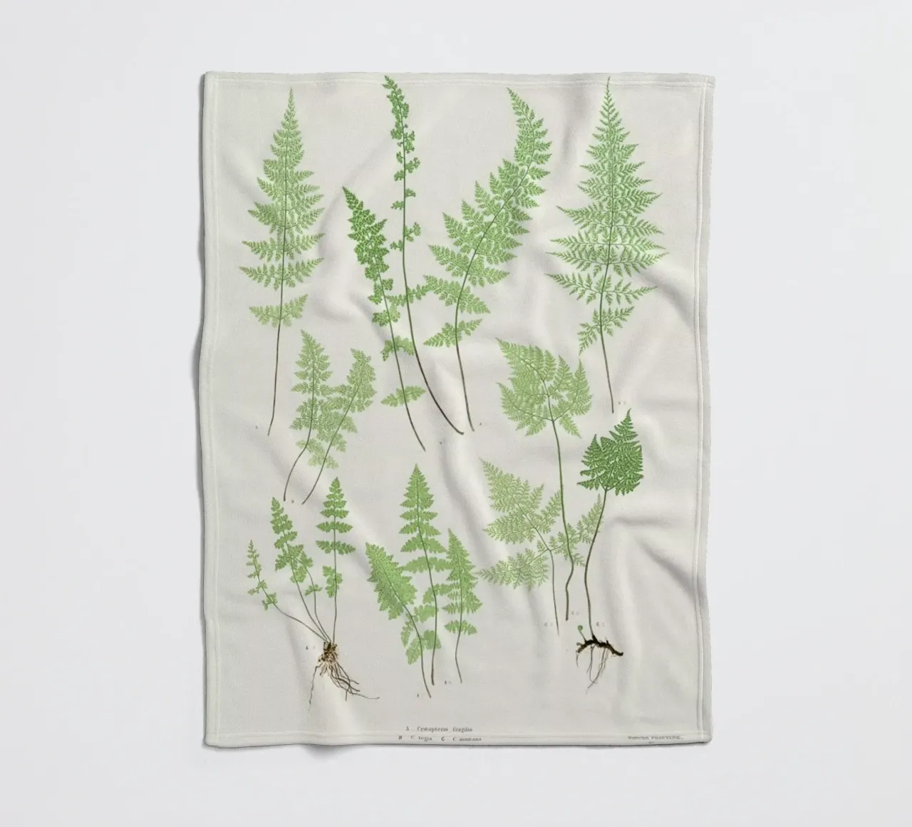 Ferns fleece blanket by Astër
