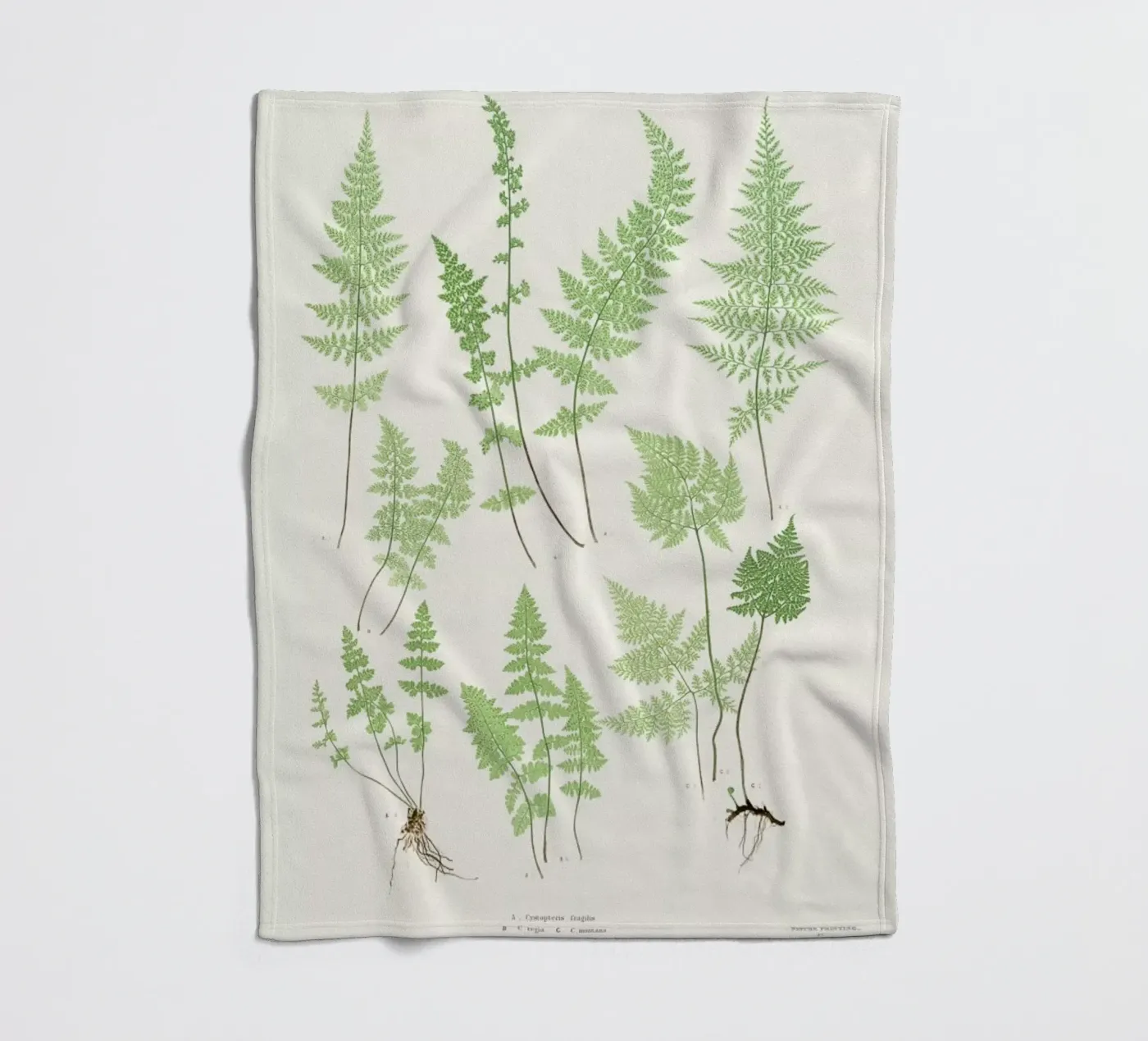 Ferns Fleecedecke von Astër