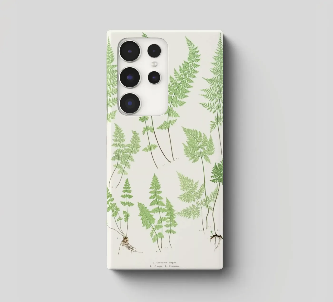 Ferns cover samsung da Astër