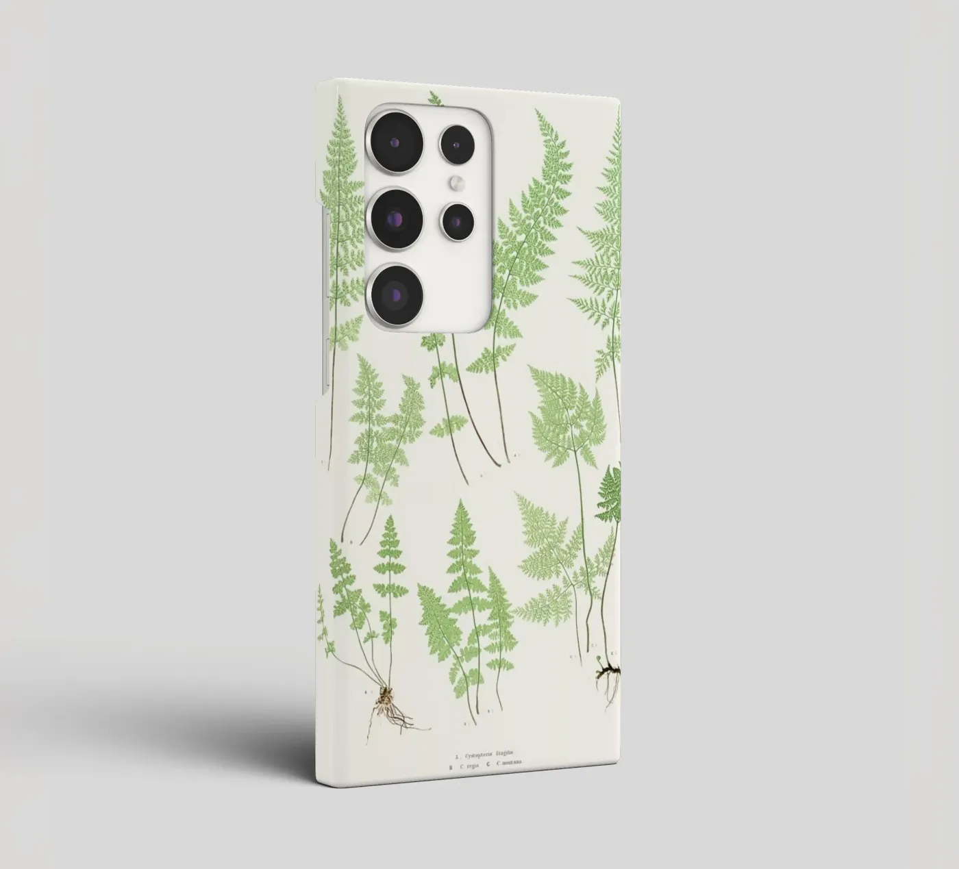 Ferns cover samsung da Astër