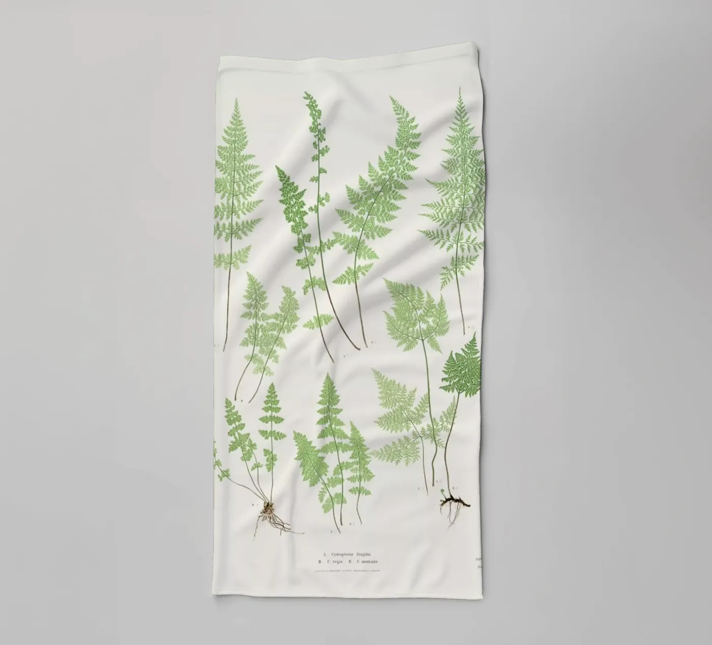 Ferns badhanddoek van Astër