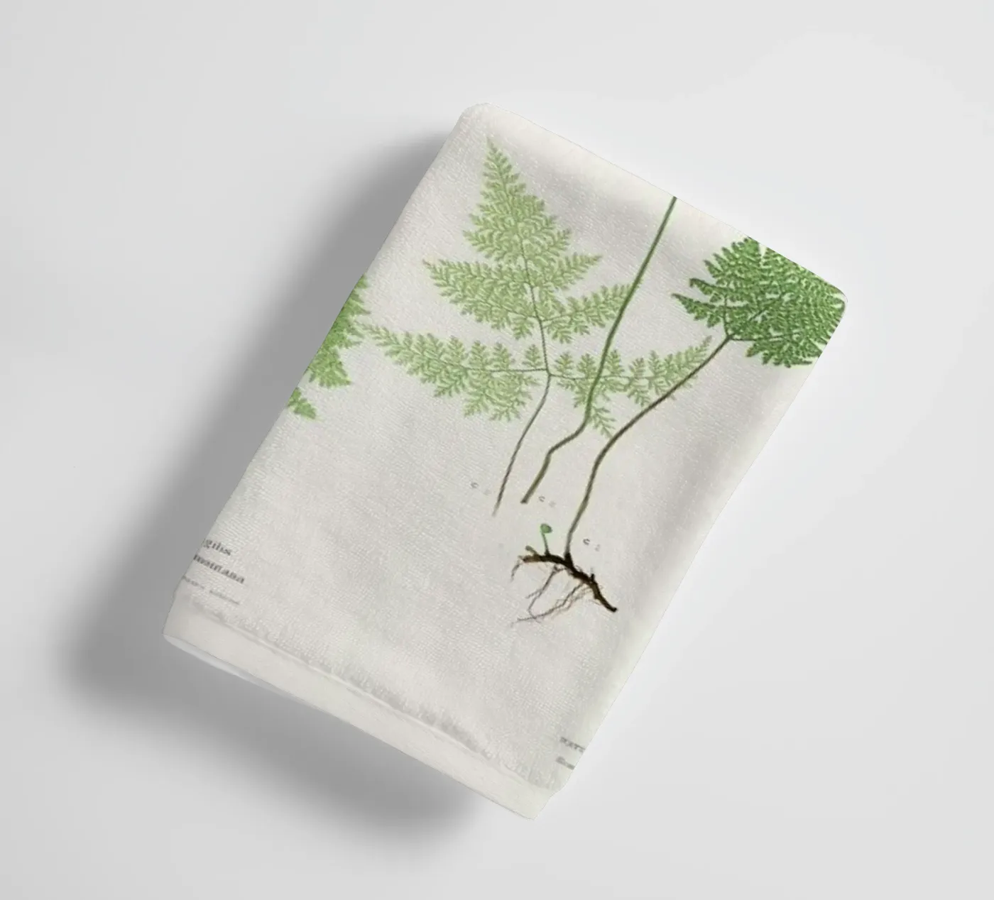 Ferns badhanddoek van Astër