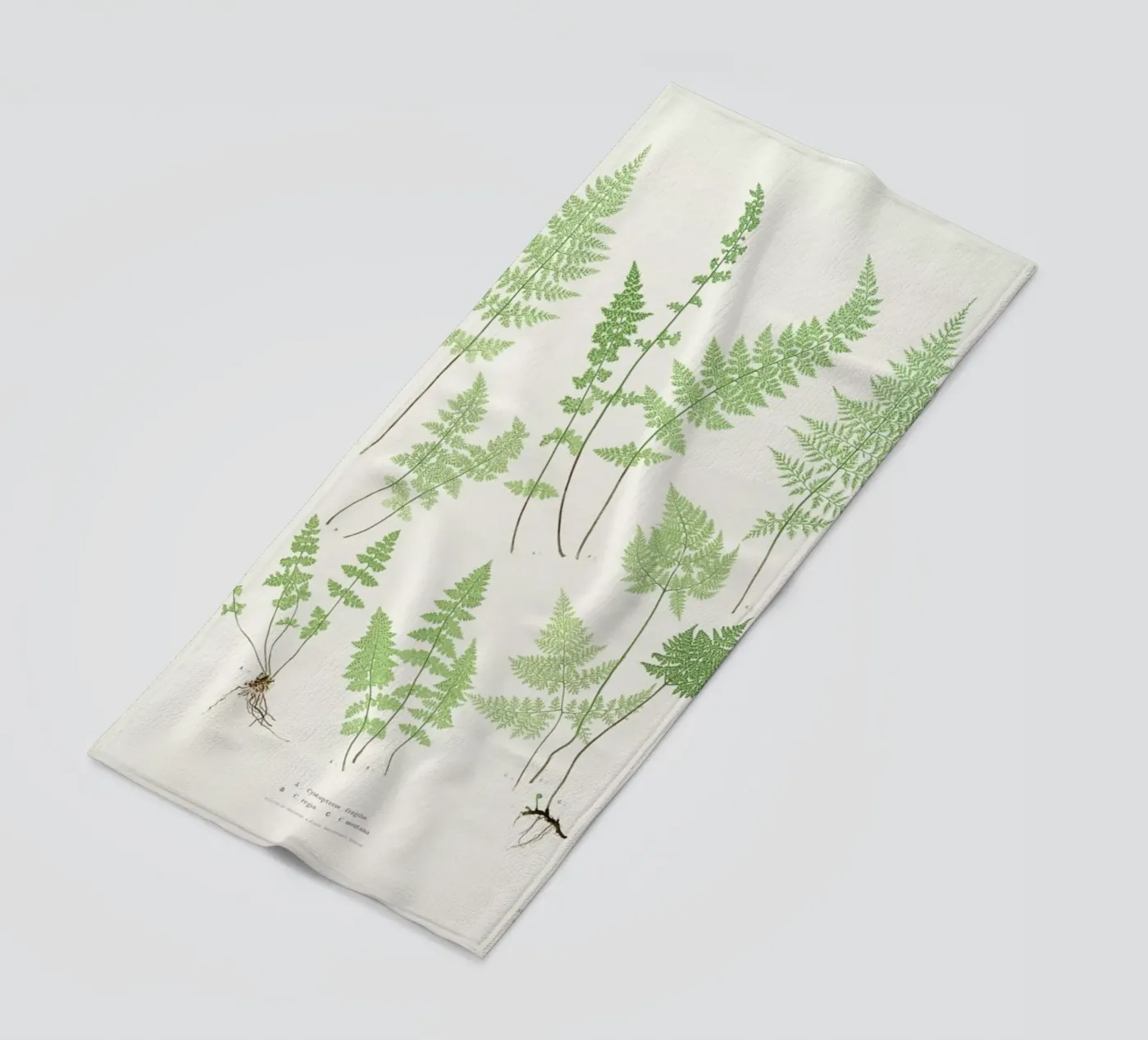 Ferns beach towel by Astër