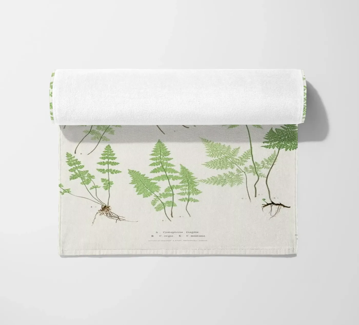 Ferns beach towel by Astër