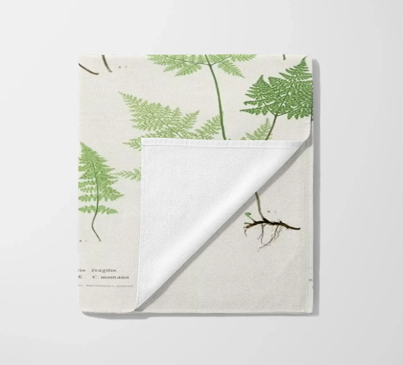 Ferns beach towel by Astër