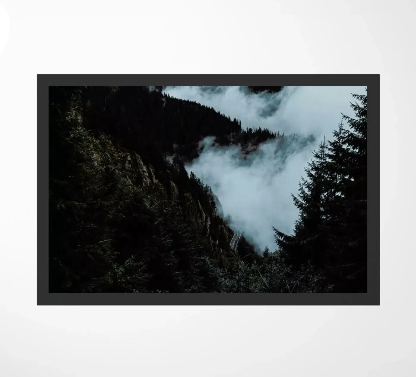 Misty Forest zerbino da Sebastian Hilgetag