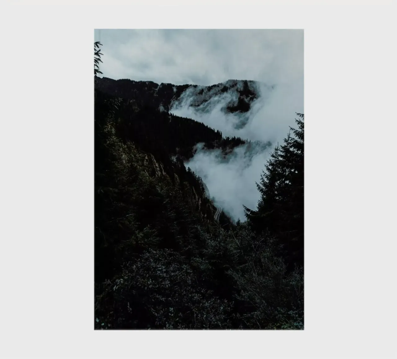 Misty Forest notebook by Sebastian Hilgetag