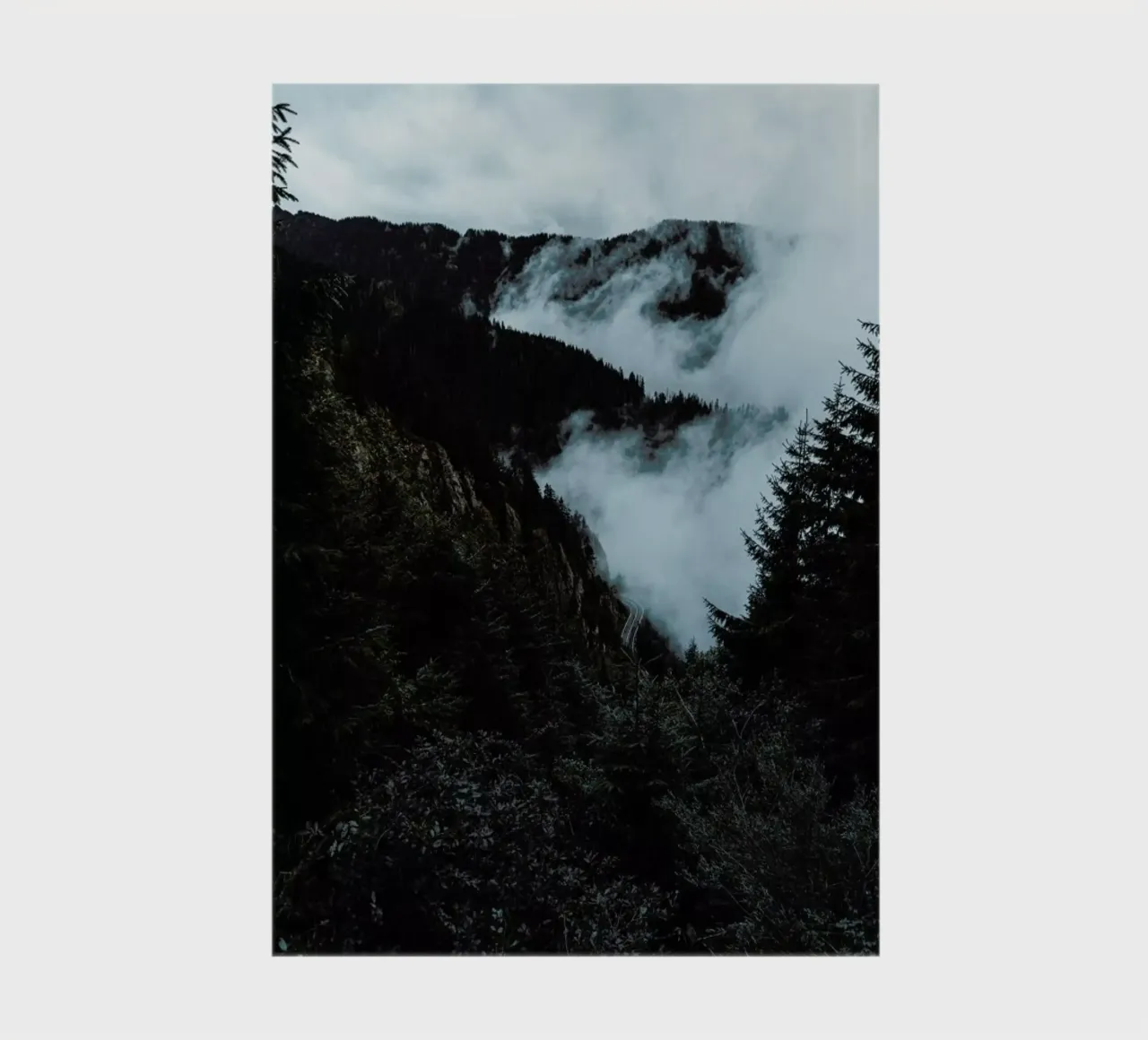 Misty Forest notebook by Sebastian Hilgetag
