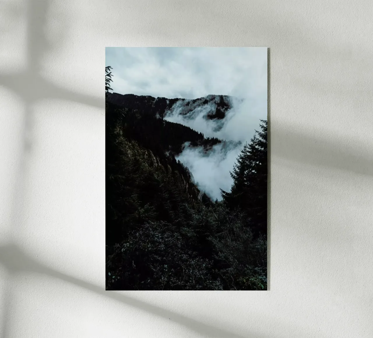 Misty Forest plexiglass da Sebastian Hilgetag