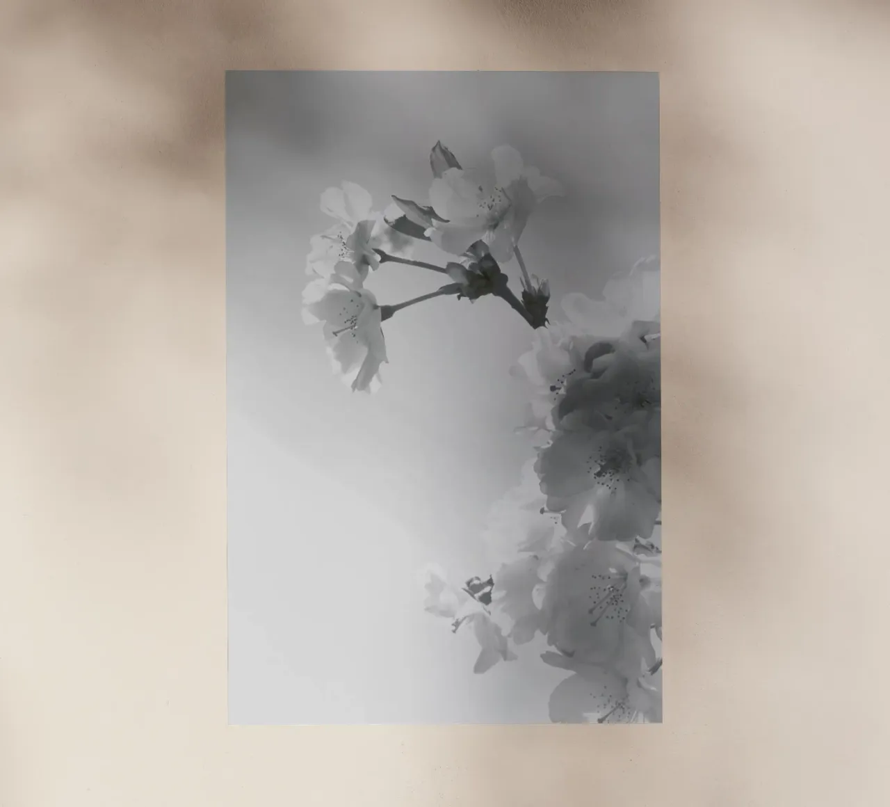Spring Blossom pellicola backlit da XOXO Arte