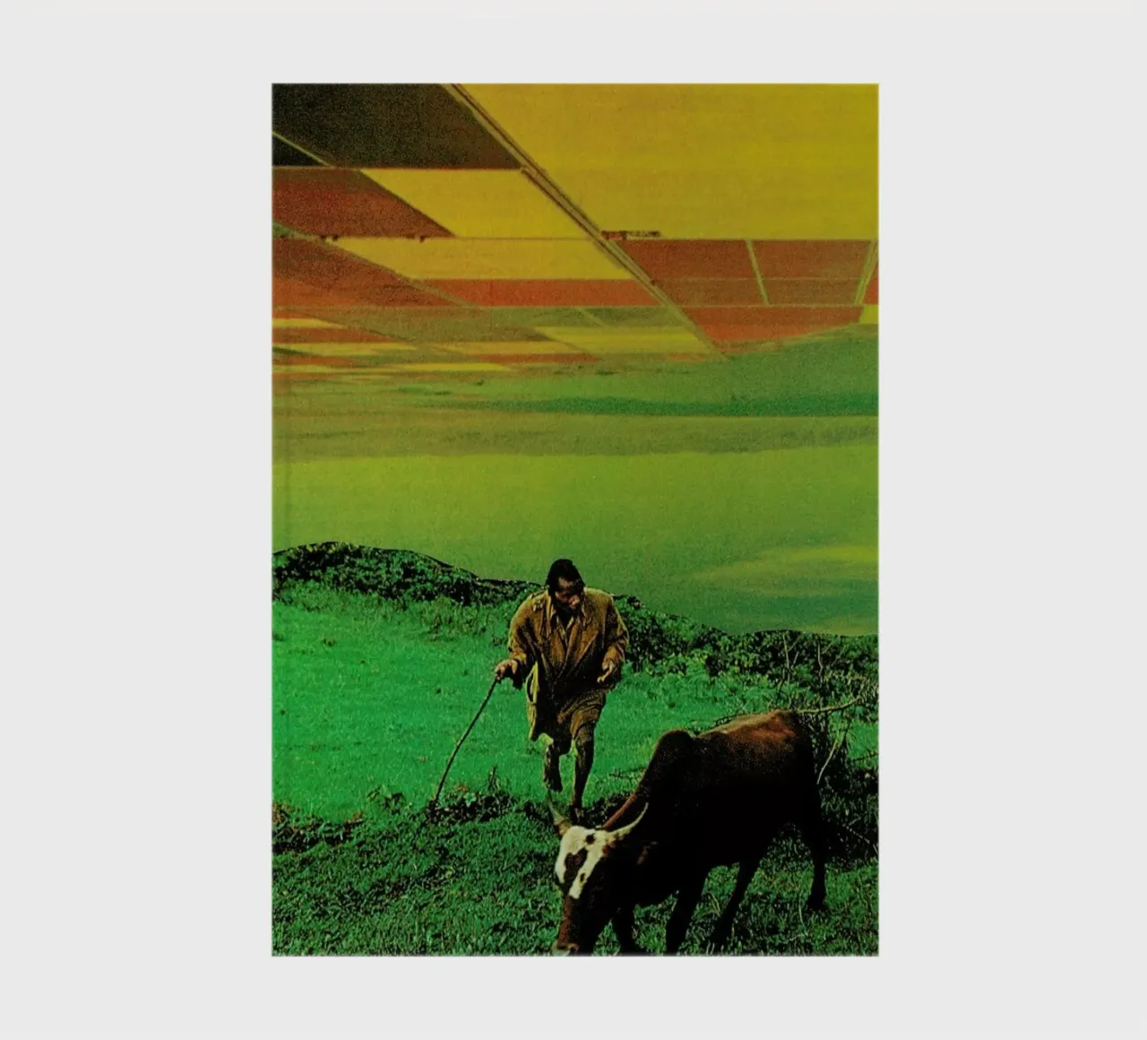 Shepherd of The Plains notebook by Jesse Treece