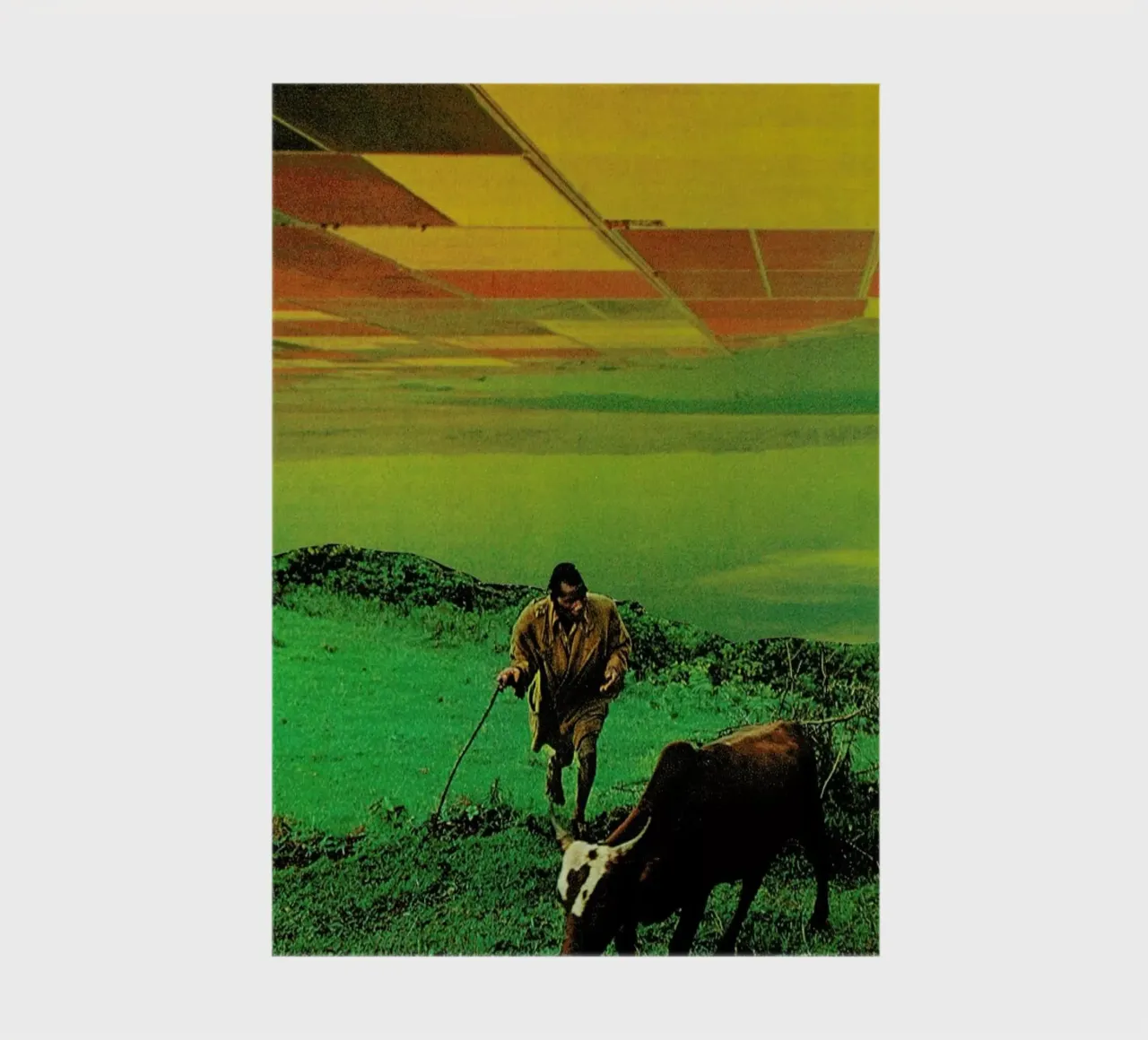 Shepherd of The Plains notebook by Jesse Treece