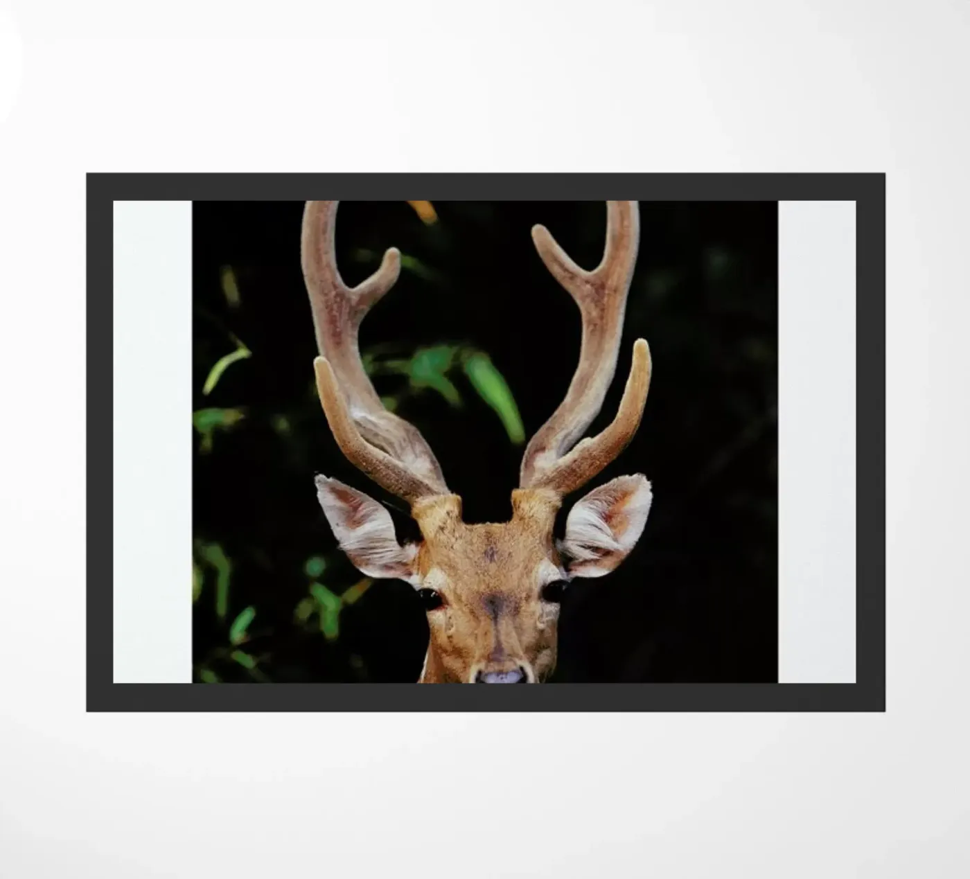 Forest Deer doormat by Natural Kingdom