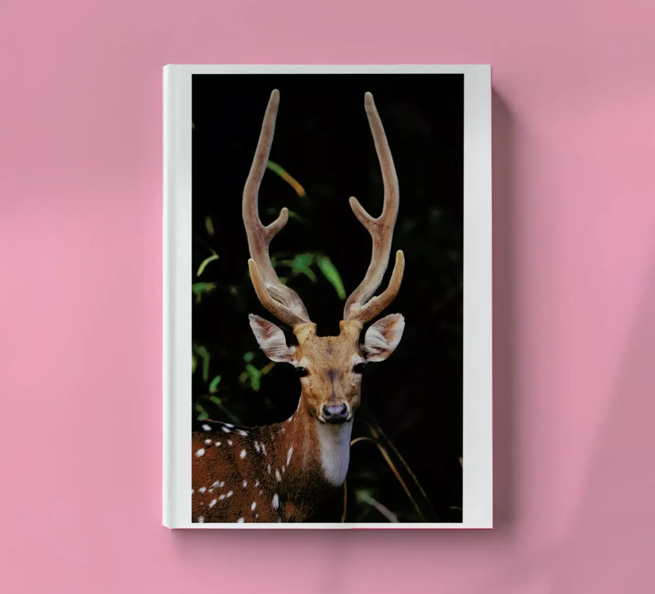 Forest Deer carnet de notes de Natural Kingdom