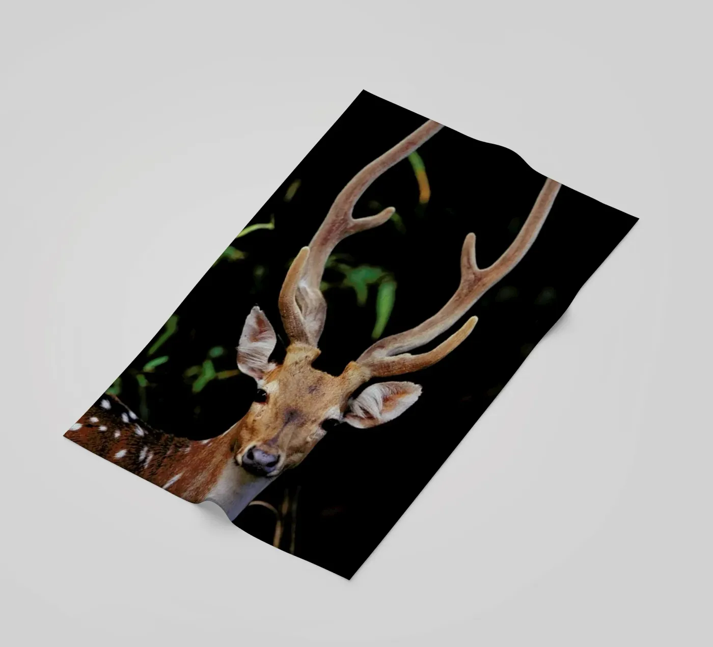 Forest Deer strandhanddoek van Natural Kingdom