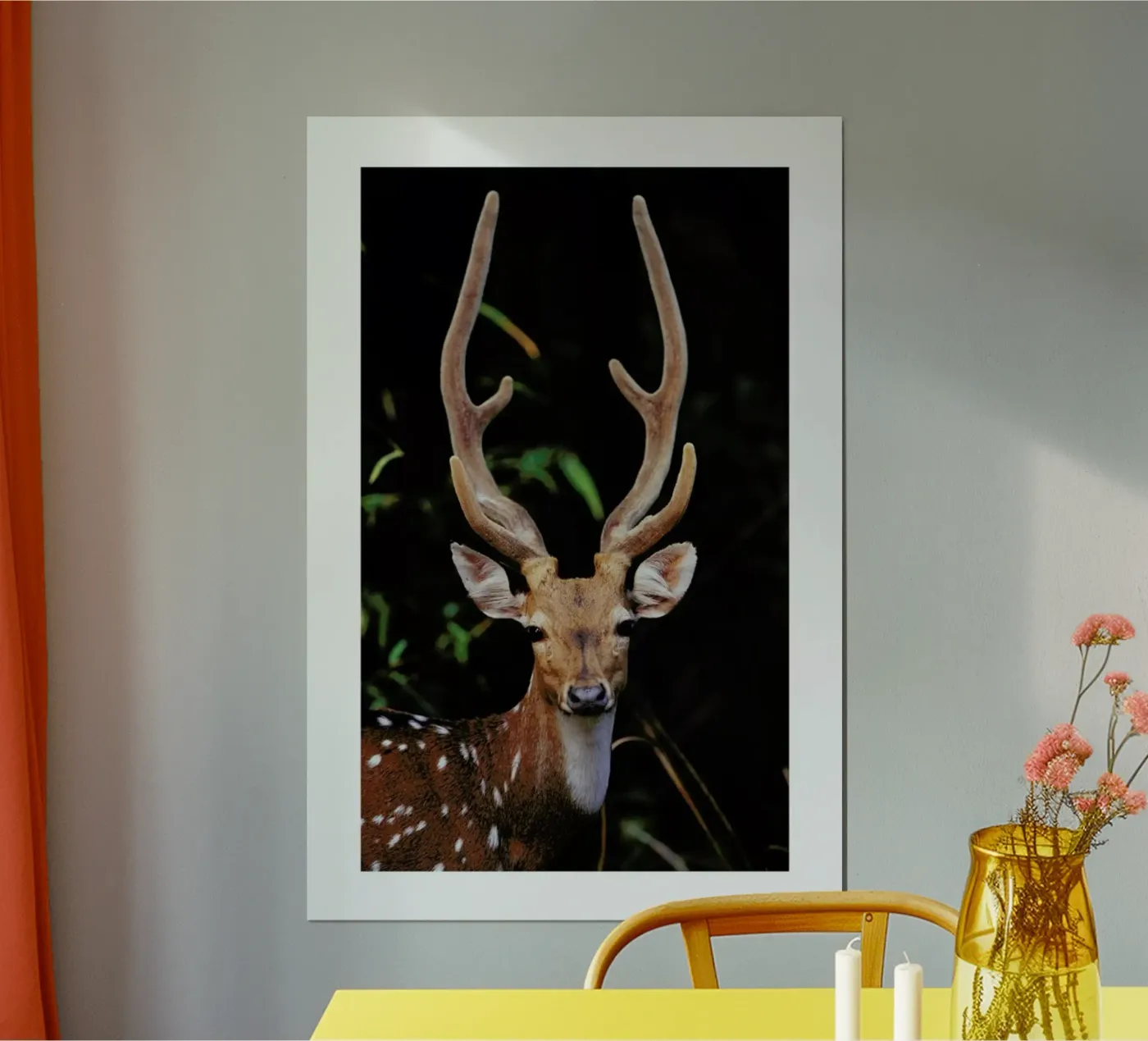 Forest Deer poster da Natural Kingdom