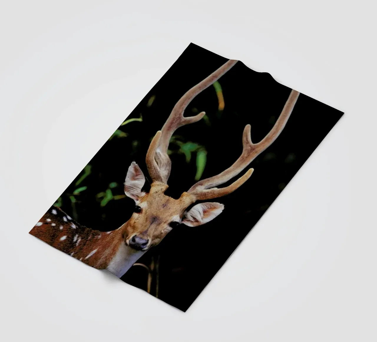 Forest Deer Fleecedecke von Natural Kingdom