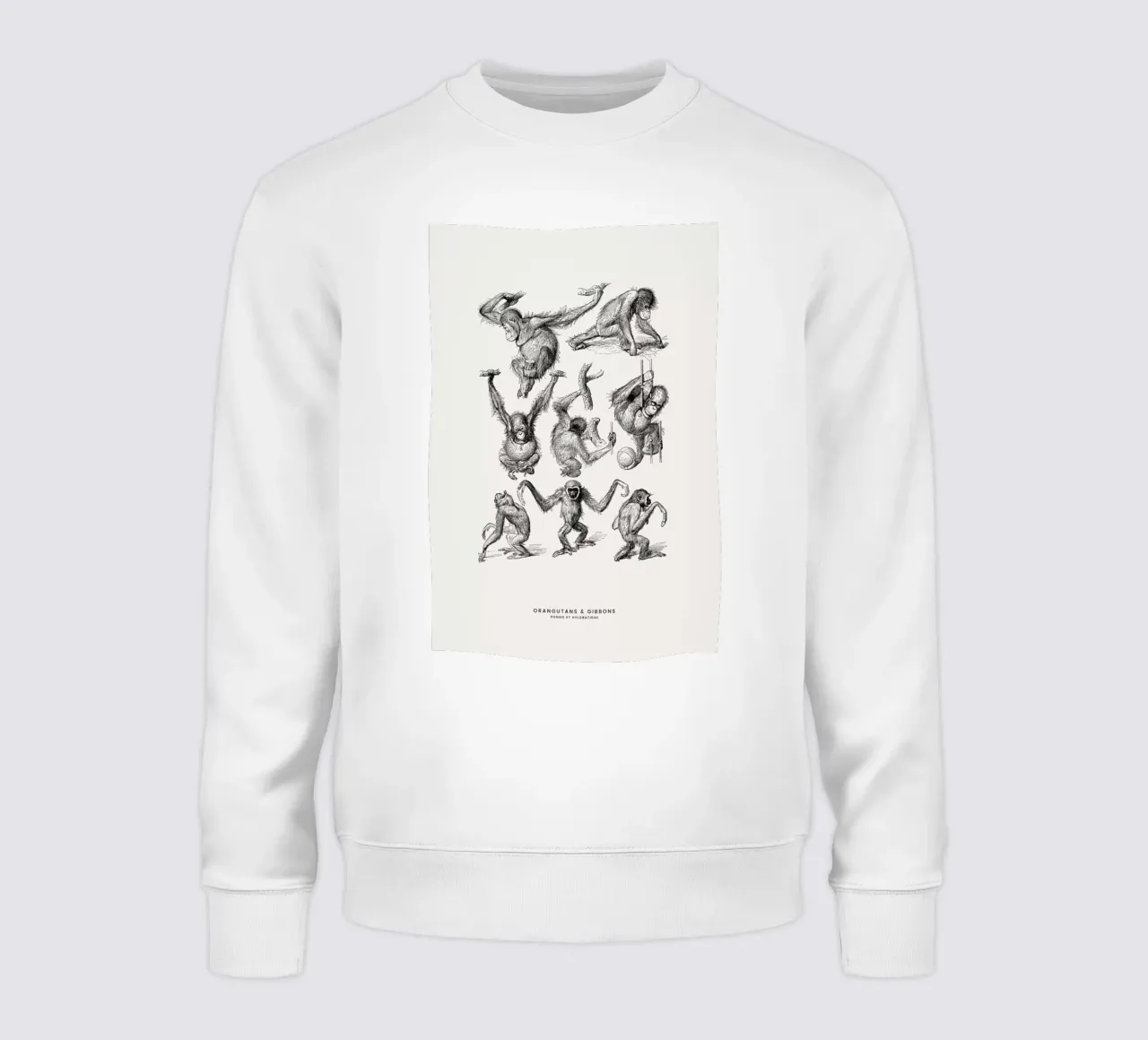 Orangutans and Gibbons felpa da Flora & Fauna