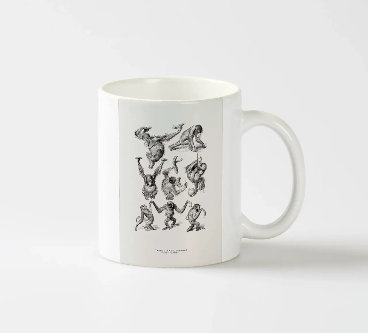 Orangutans and Gibbons tazza in ceramica da Flora & Fauna