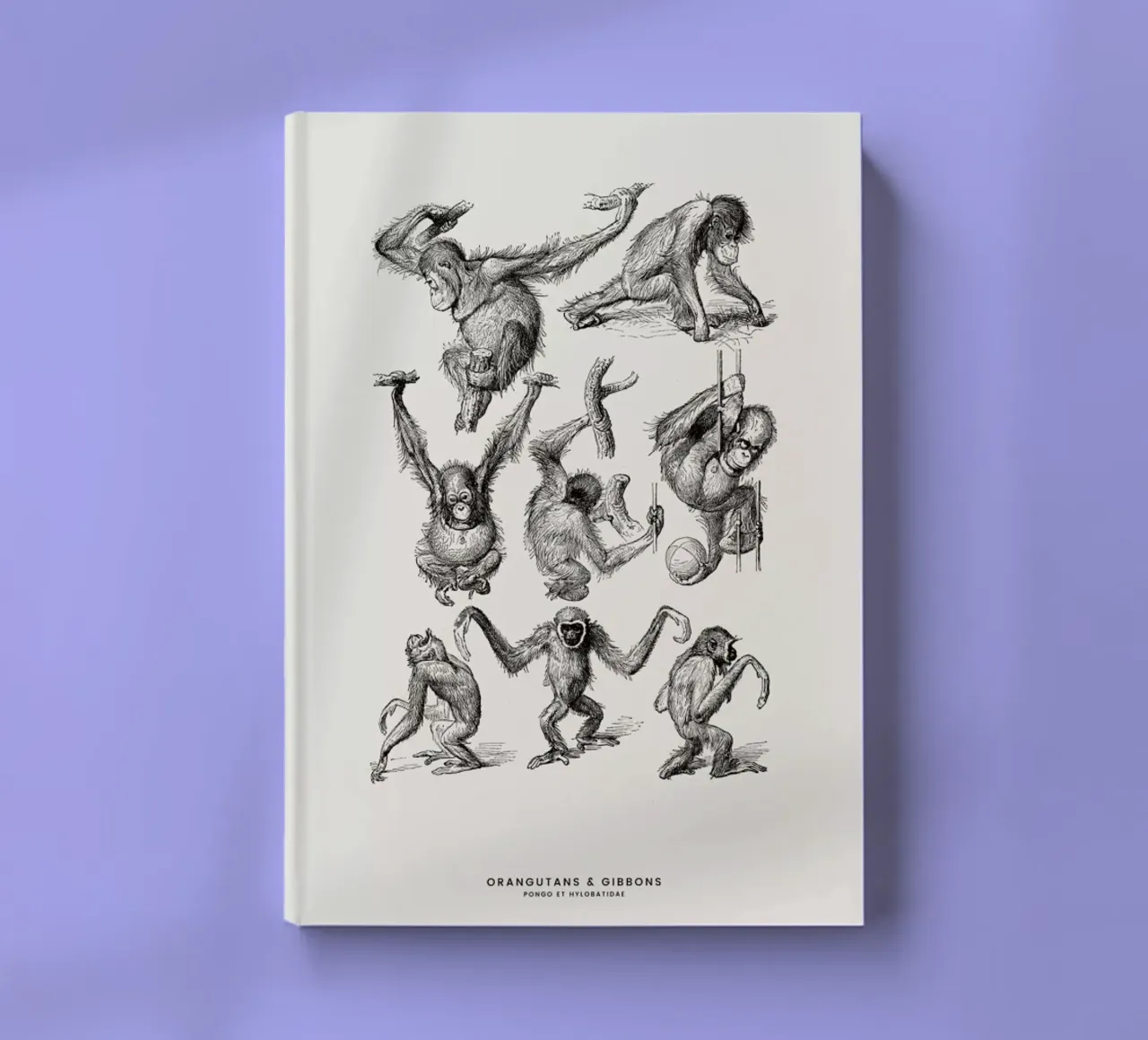 Orangutans and Gibbons notebook by Flora & Fauna