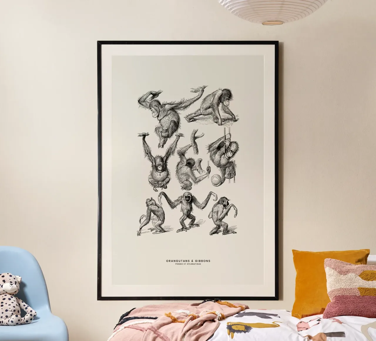 Orangutans and Gibbons poster by Flora & Fauna