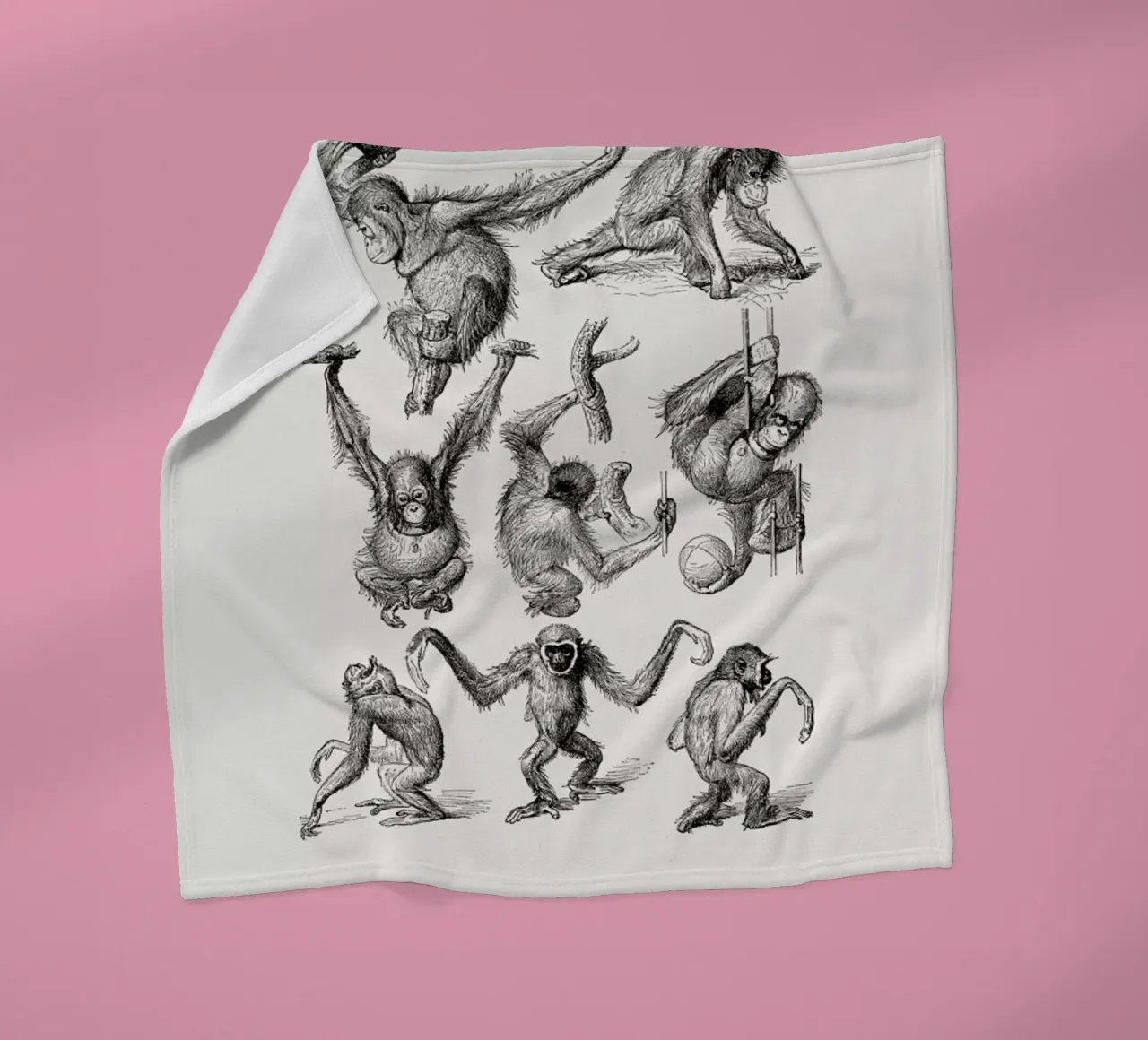 Orangutans and Gibbons coperta in pile da Flora & Fauna