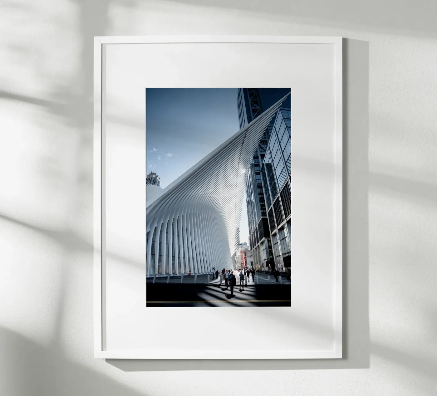 Lightlines poster de Cordula Schaefer