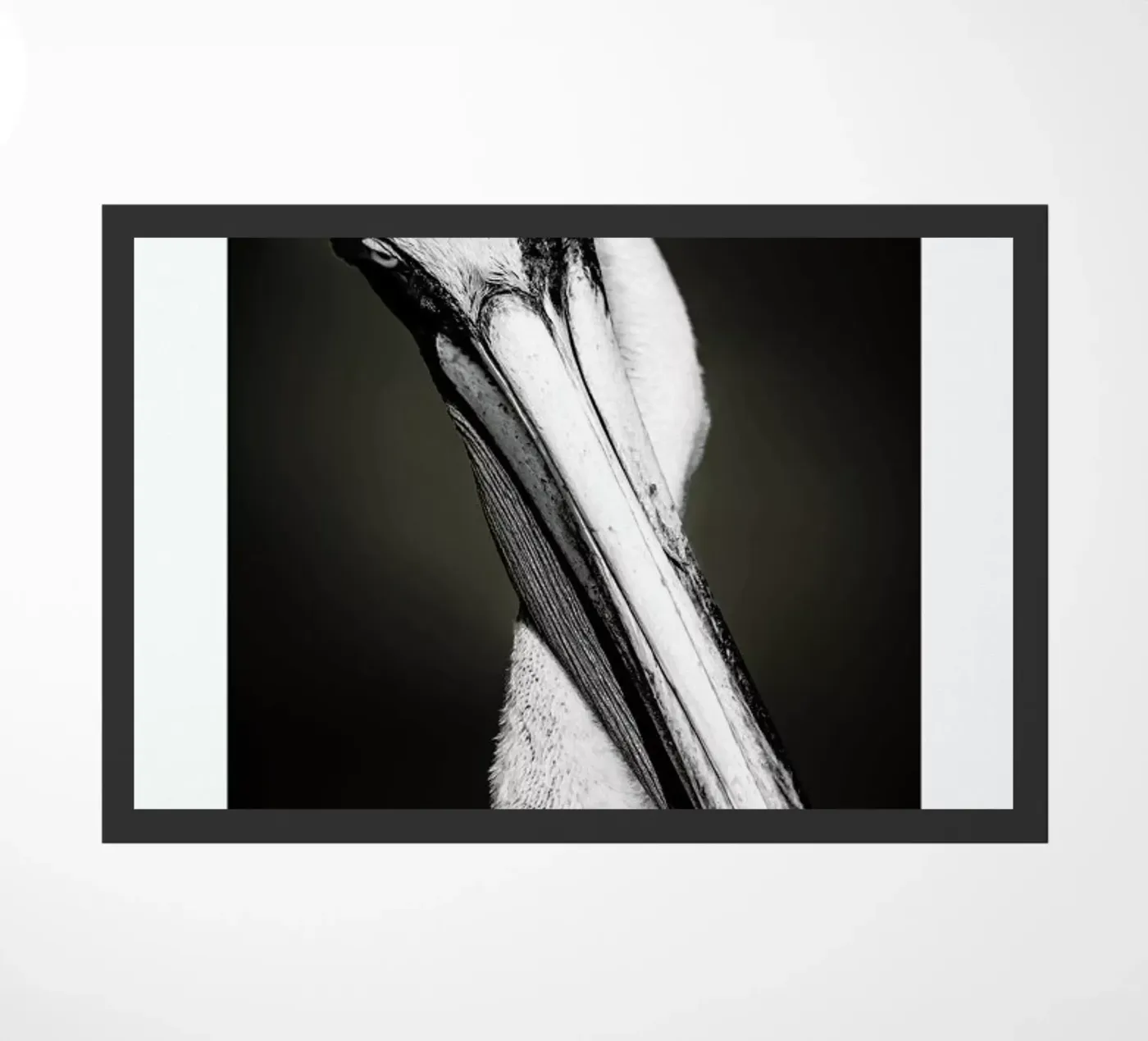 Pelican zerbino da Natural Kingdom