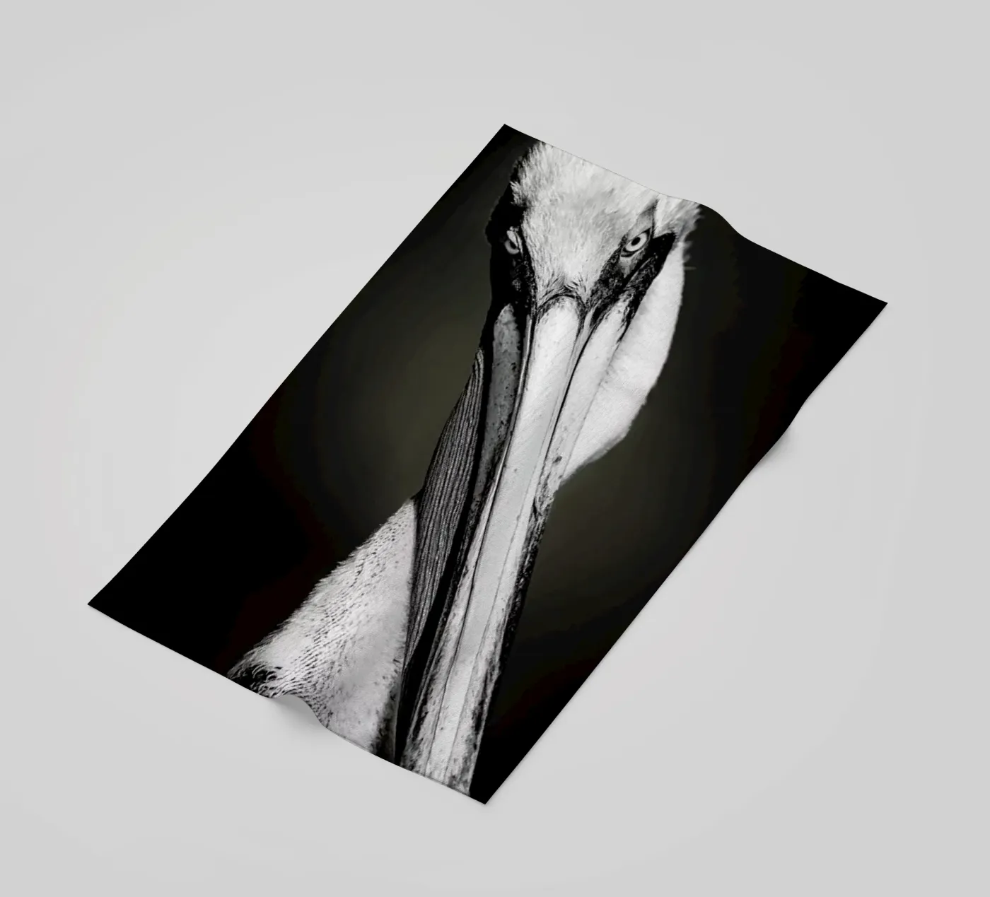 Pelican telo mare da Natural Kingdom